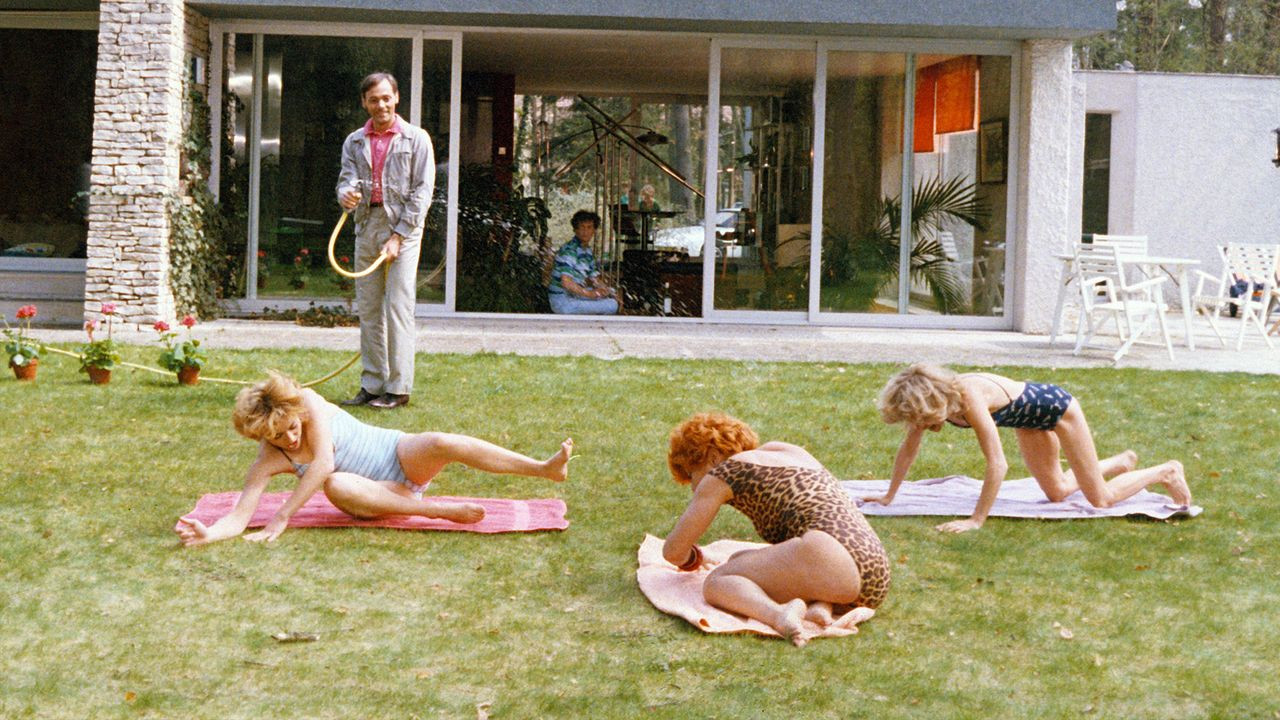 Paradise for All Background