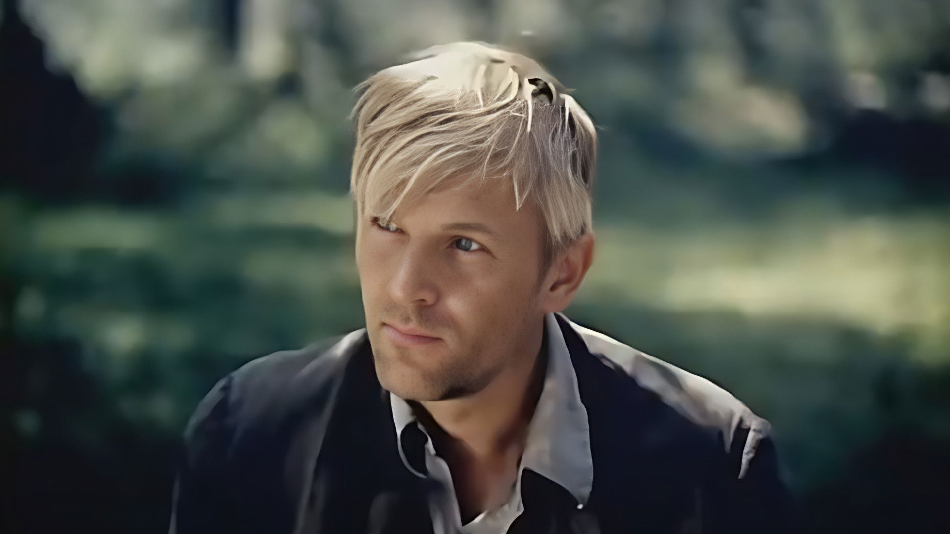 Do Not Shoot at White Swans Background