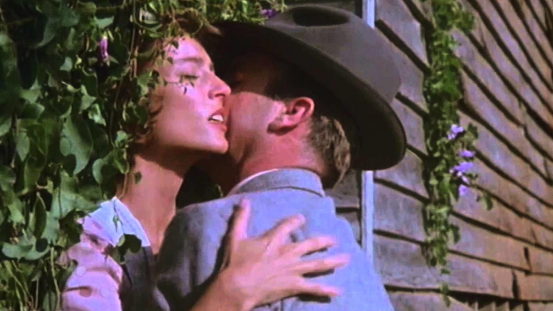 The Good Wife Background