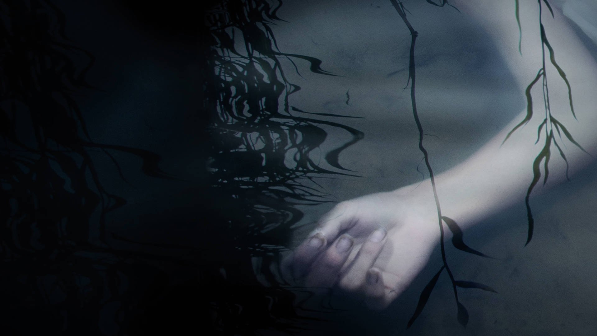 Murder in the Bayou Background