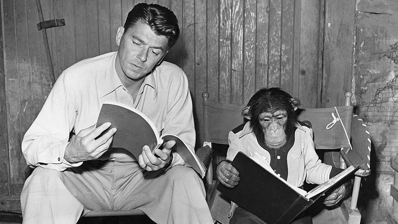 Bedtime for Bonzo Background