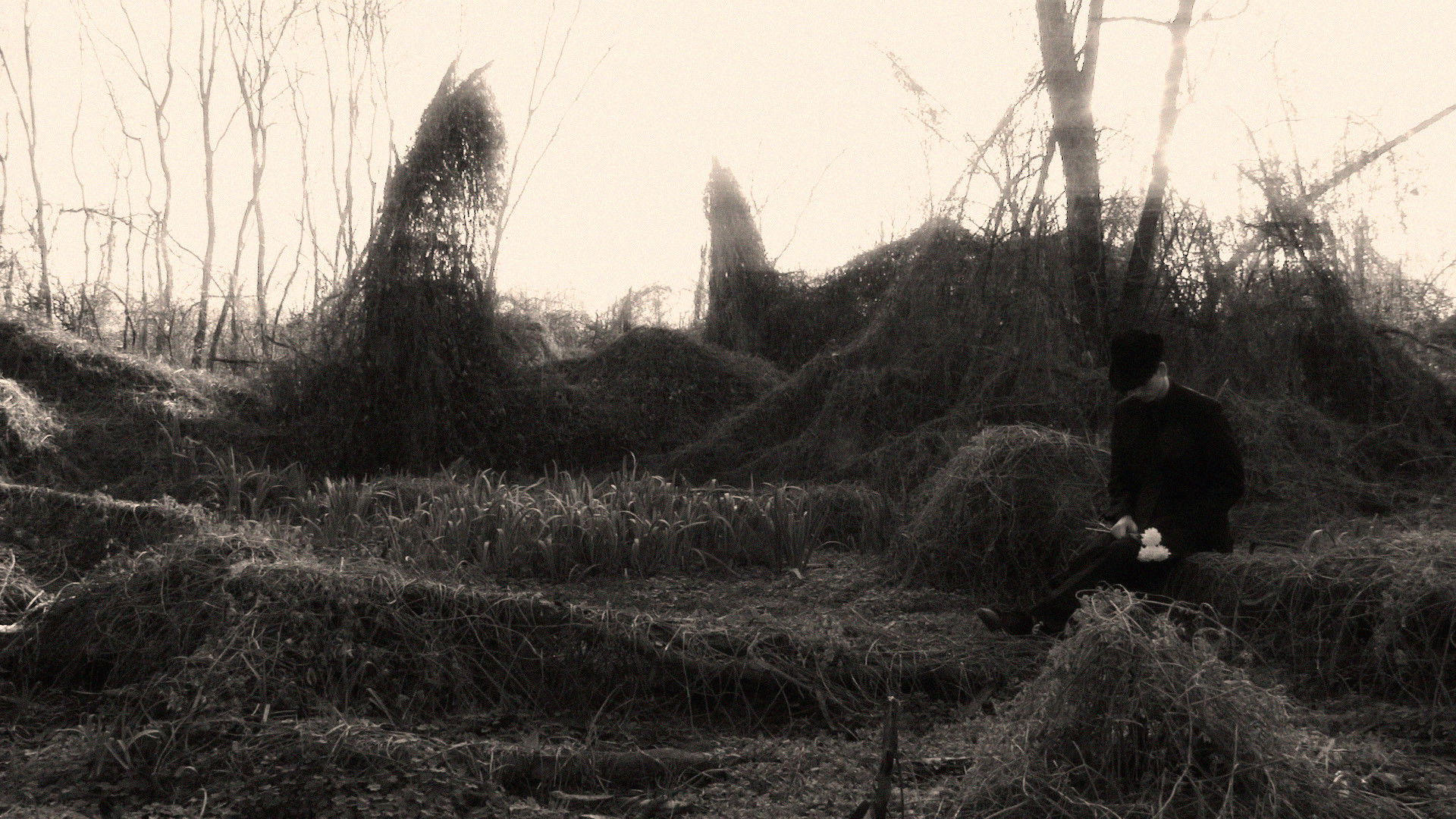 Quiéreme Mucho Background