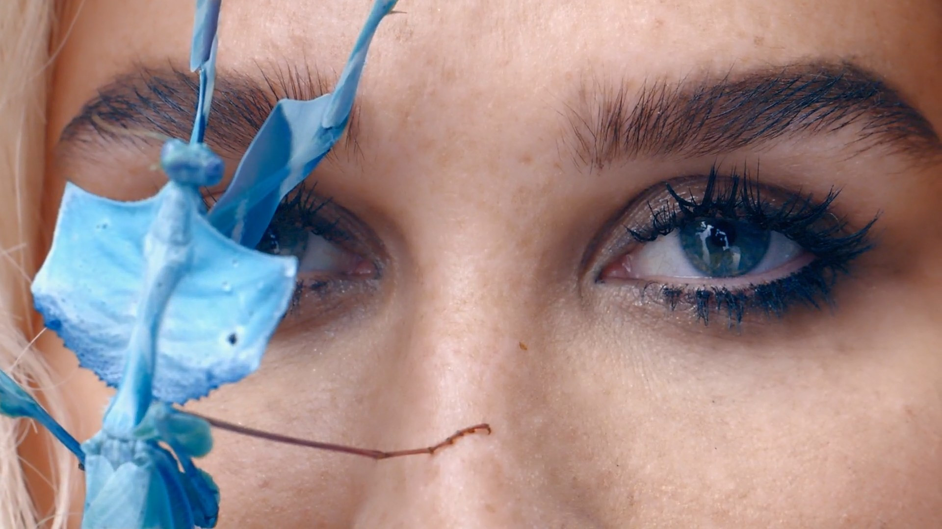 Kesha: Rainbow - The Film Background