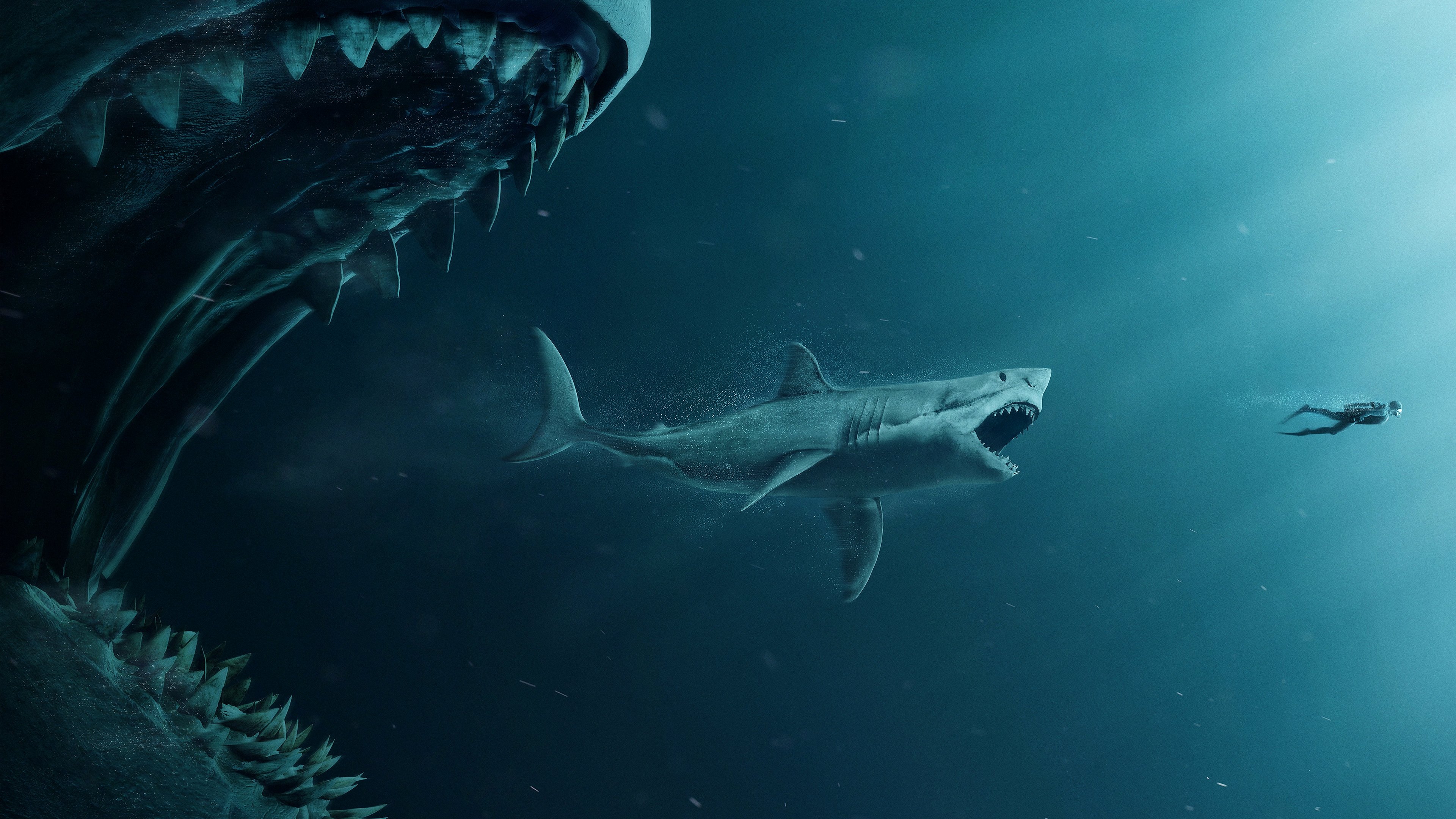 The Meg Background