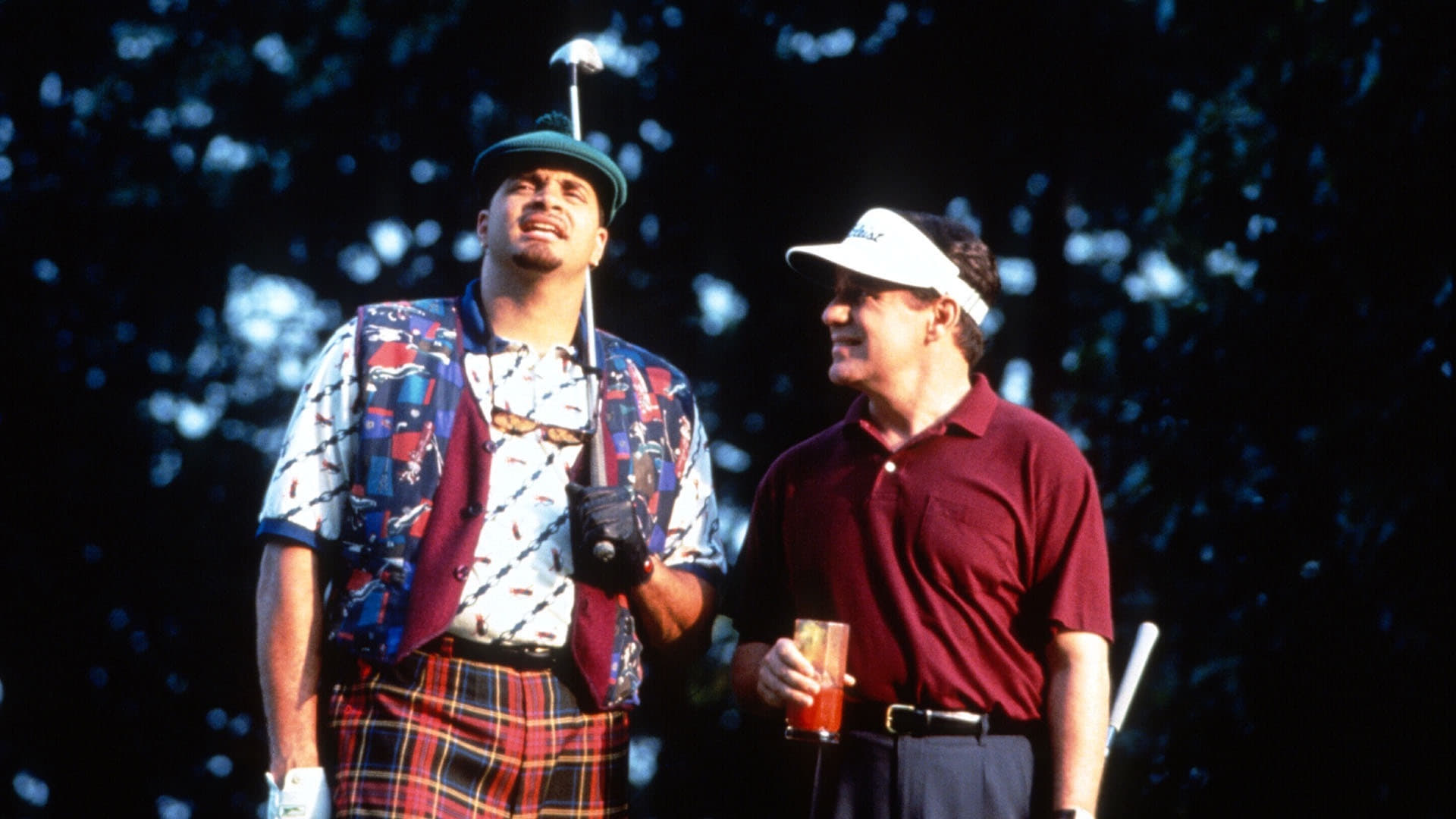 Houseguest Background