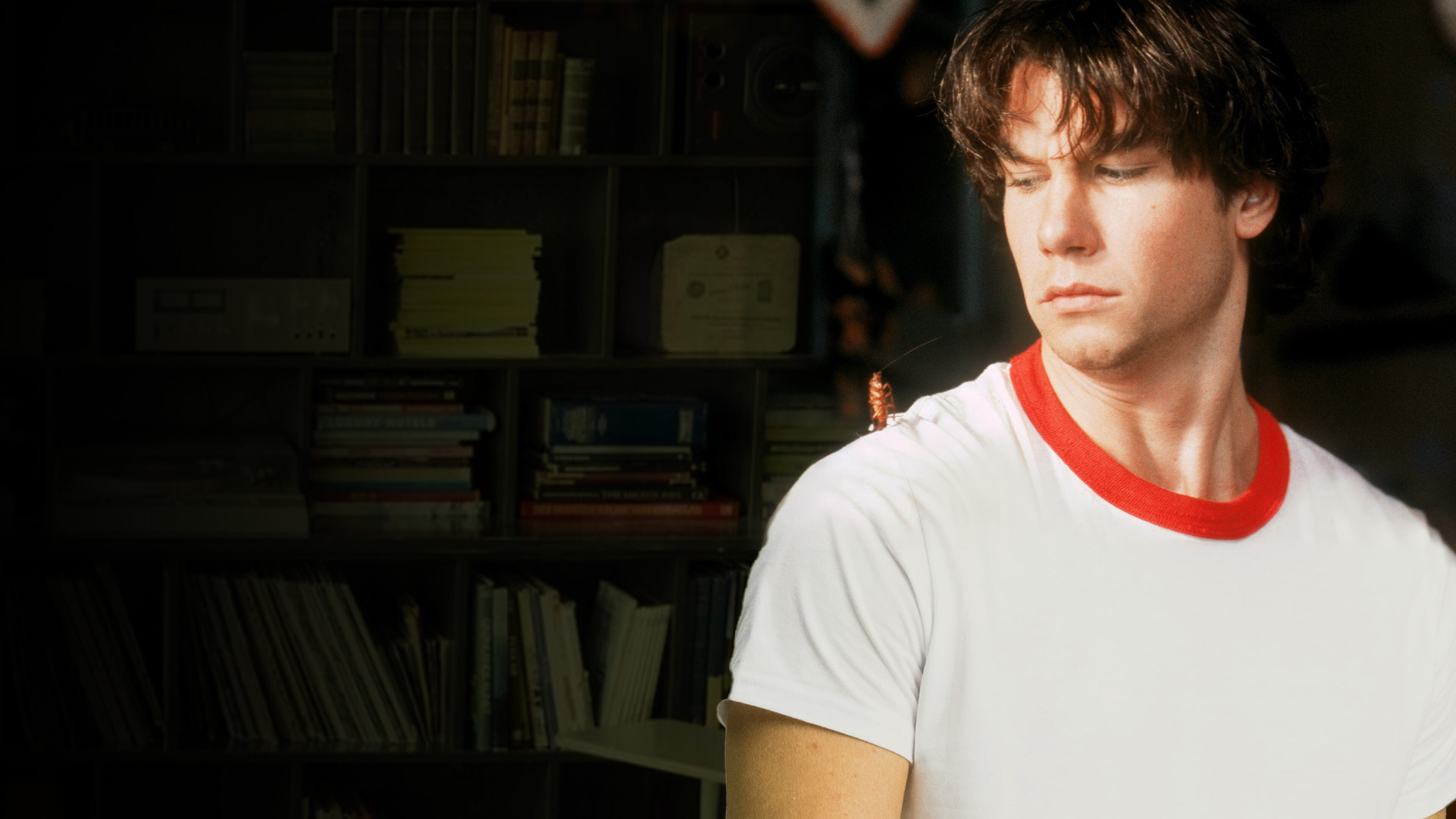 Joe&#x27;s Apartment Background