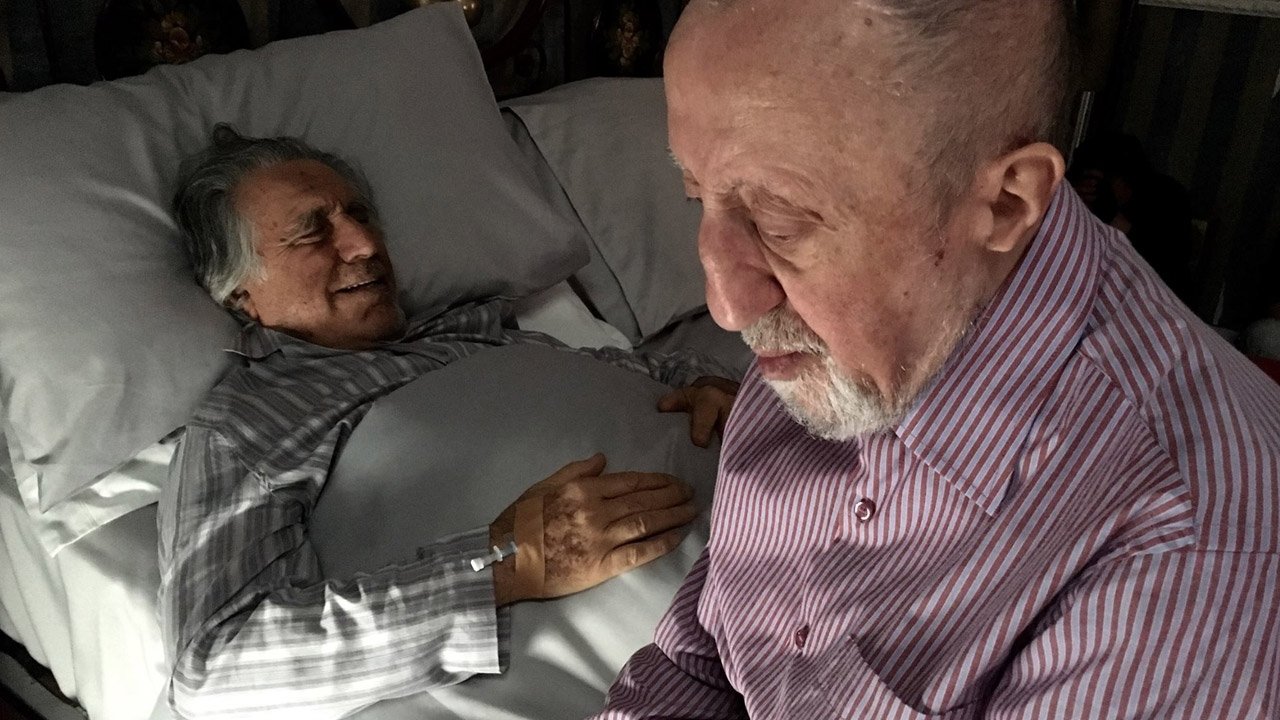 Who Will Save The Roses? Background