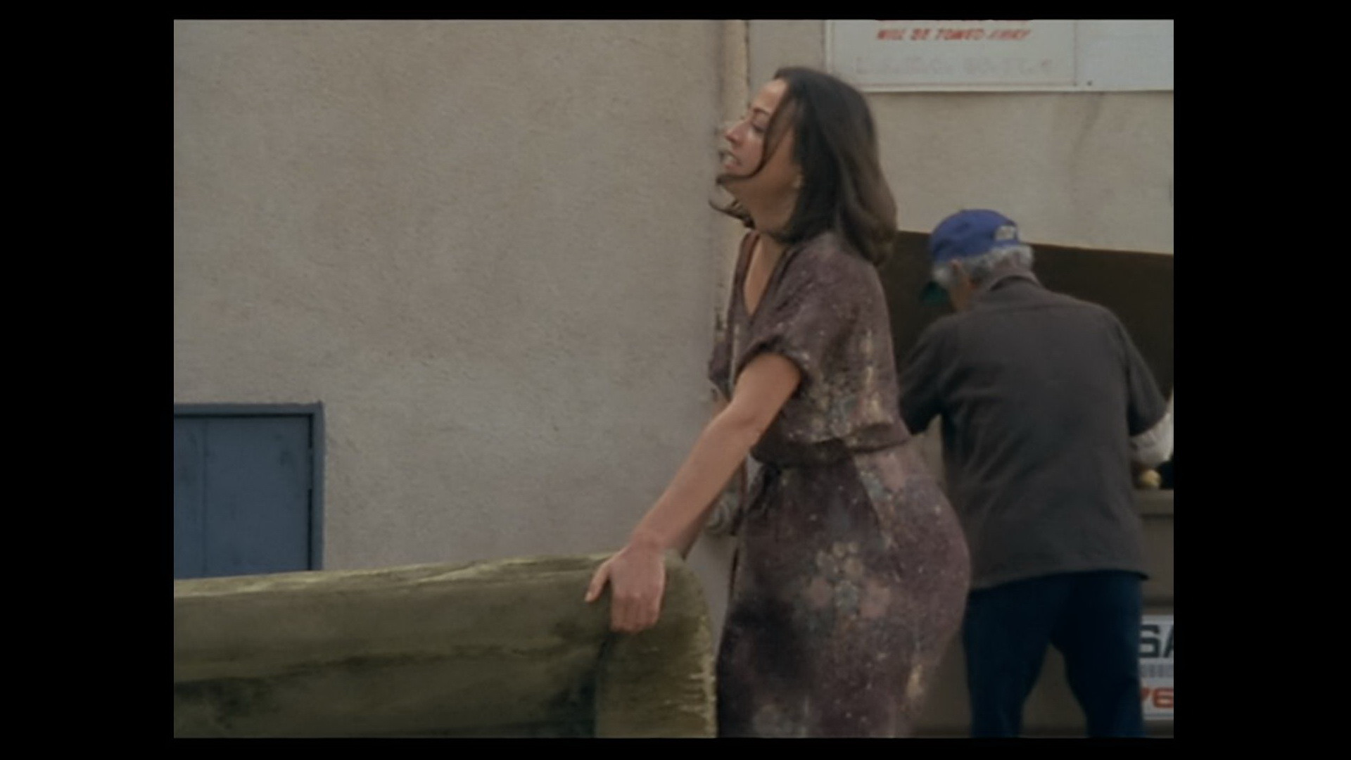 The Gleaners and I: Two Years Later Background