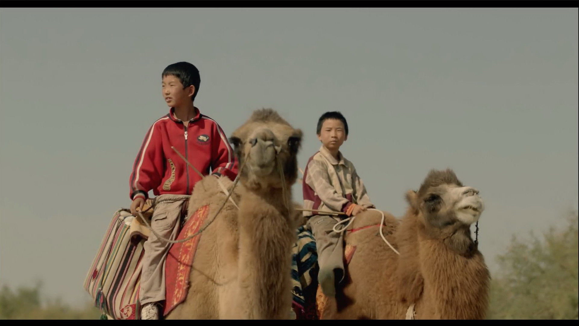 River Road Background