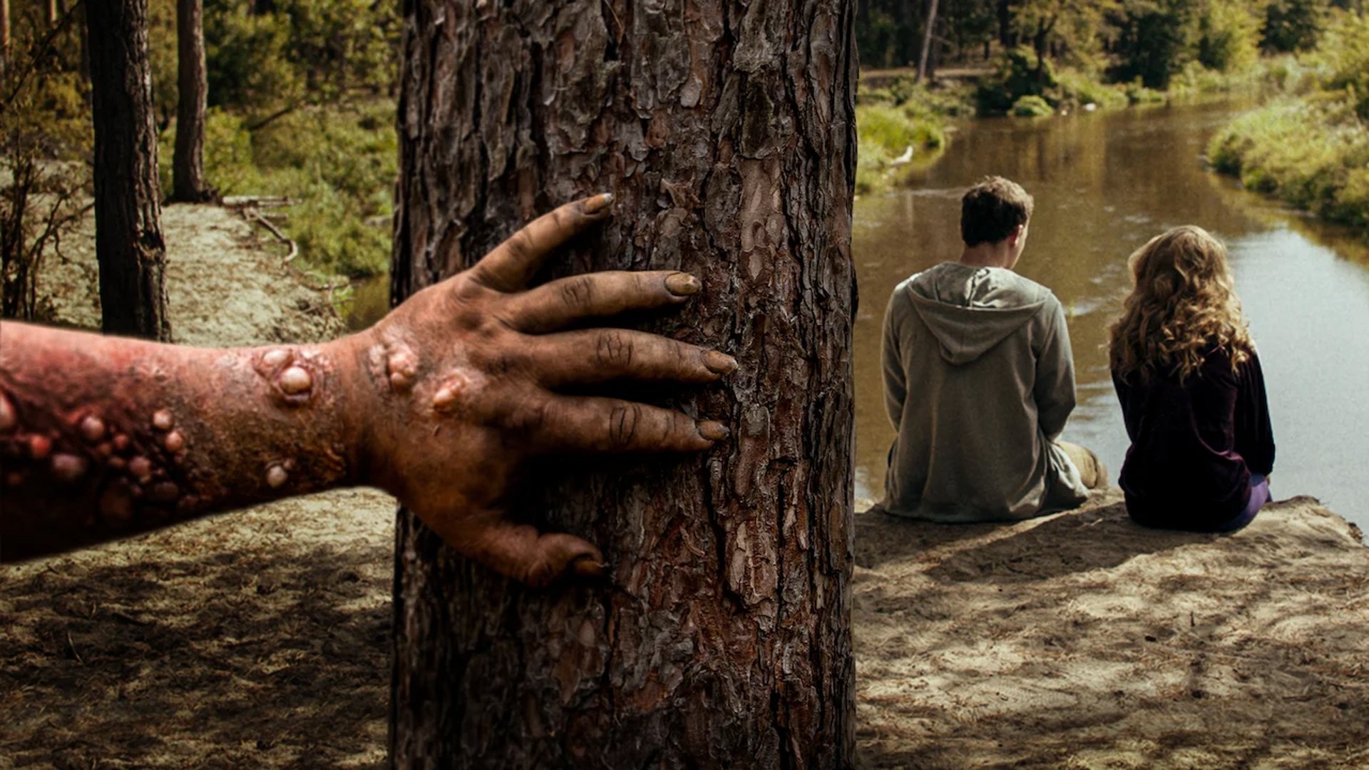 Nobody Sleeps in the Woods Tonight Background