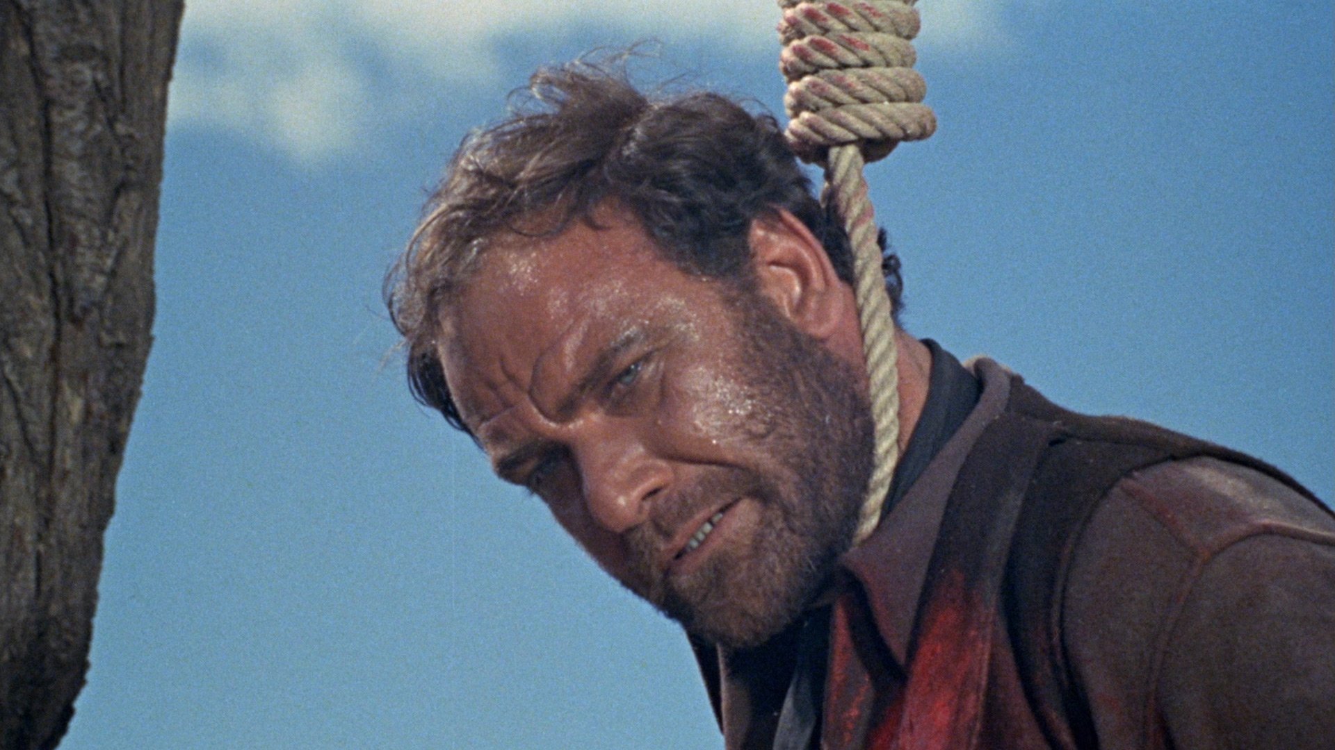 Cemetery Without Crosses Background