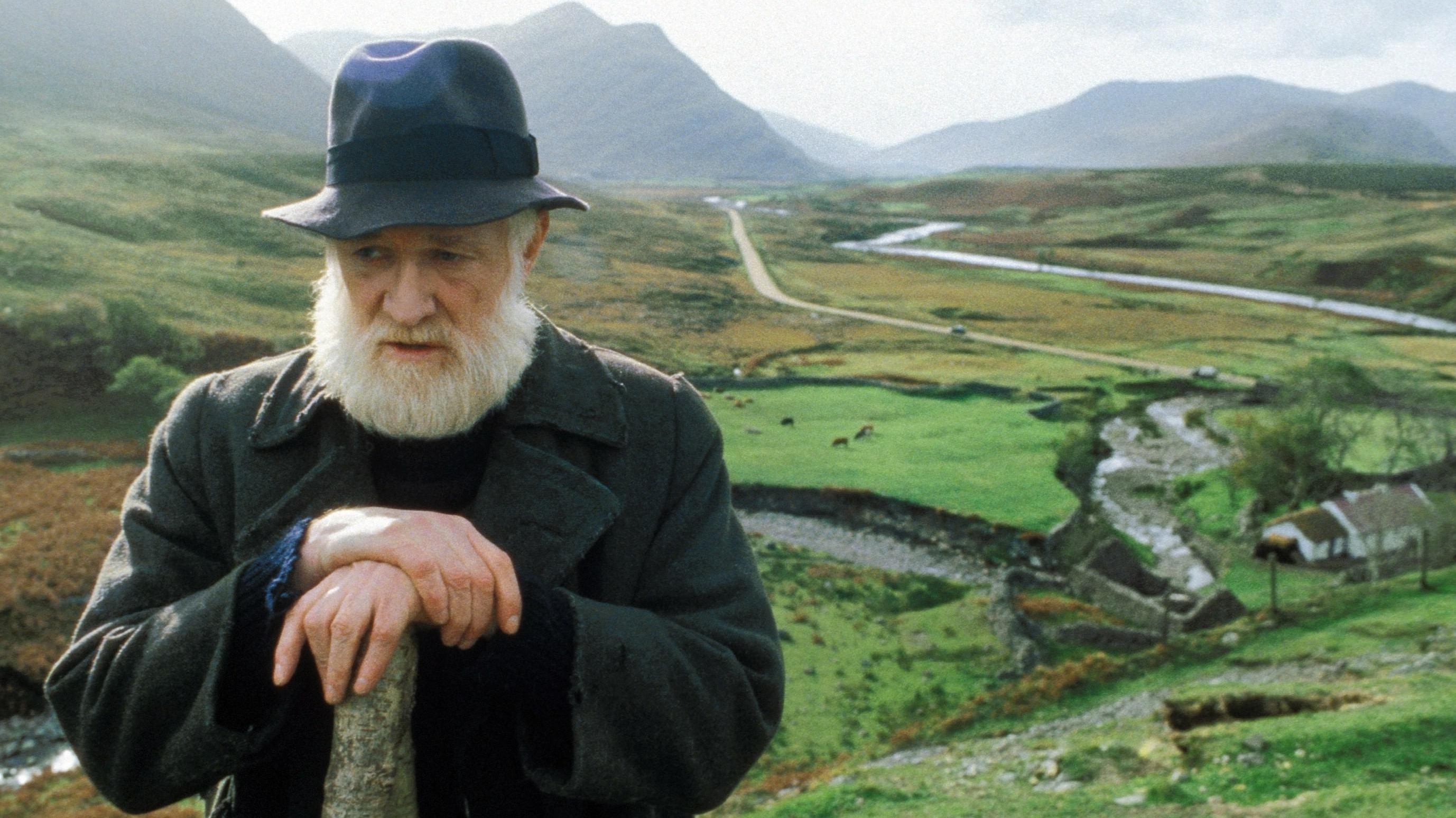 The Field Background