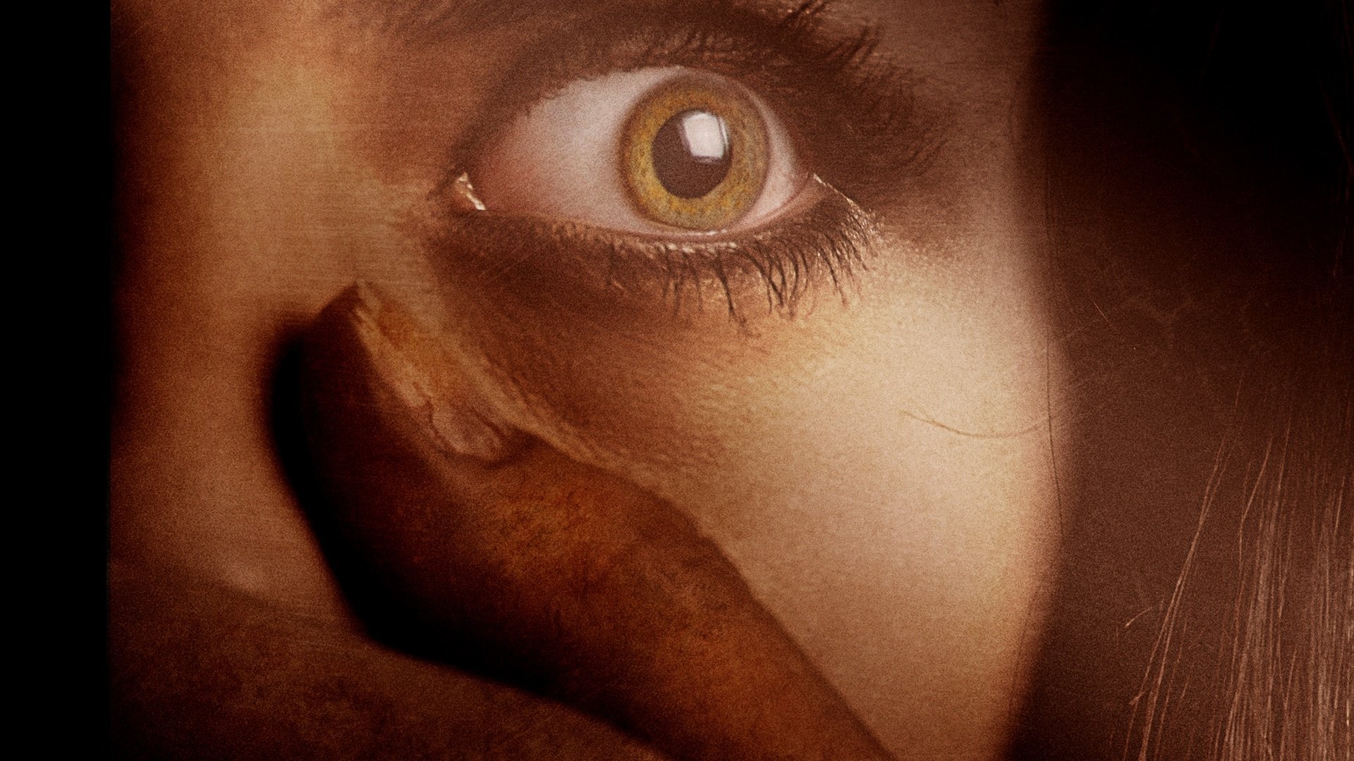 Backwoods Background