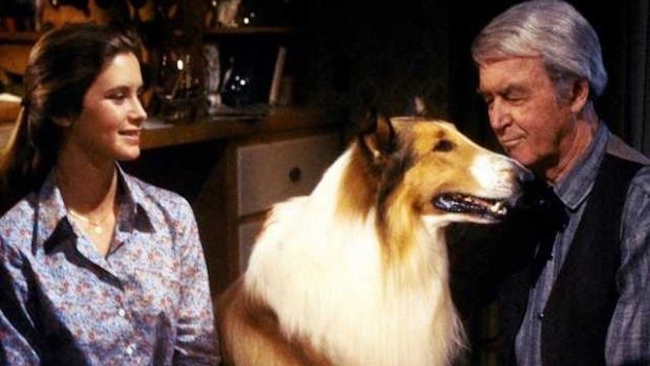 The Magic of Lassie Background