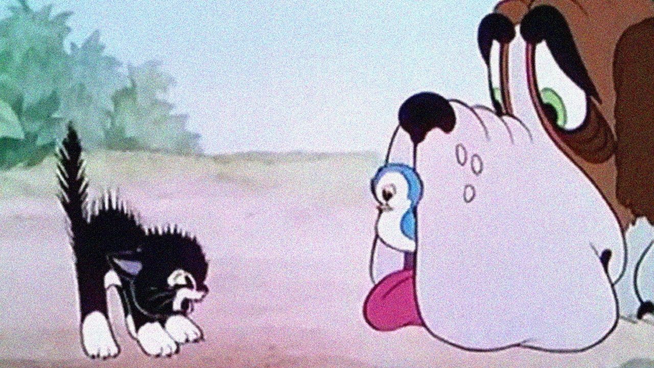 More Kittens Background