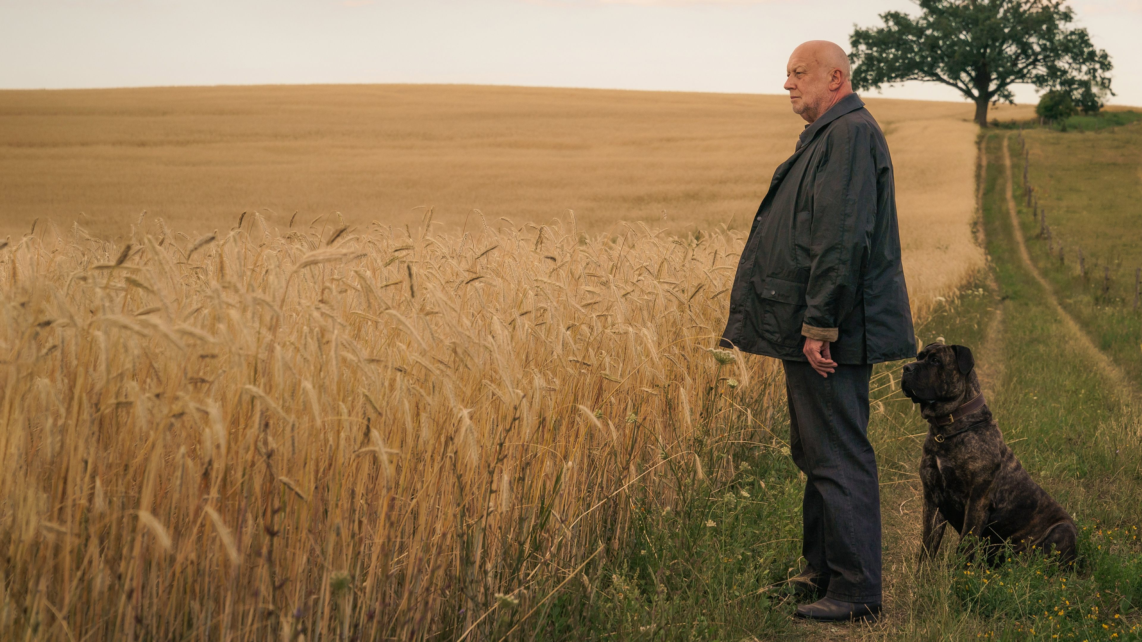 Unterleuten: The Torn Village Background