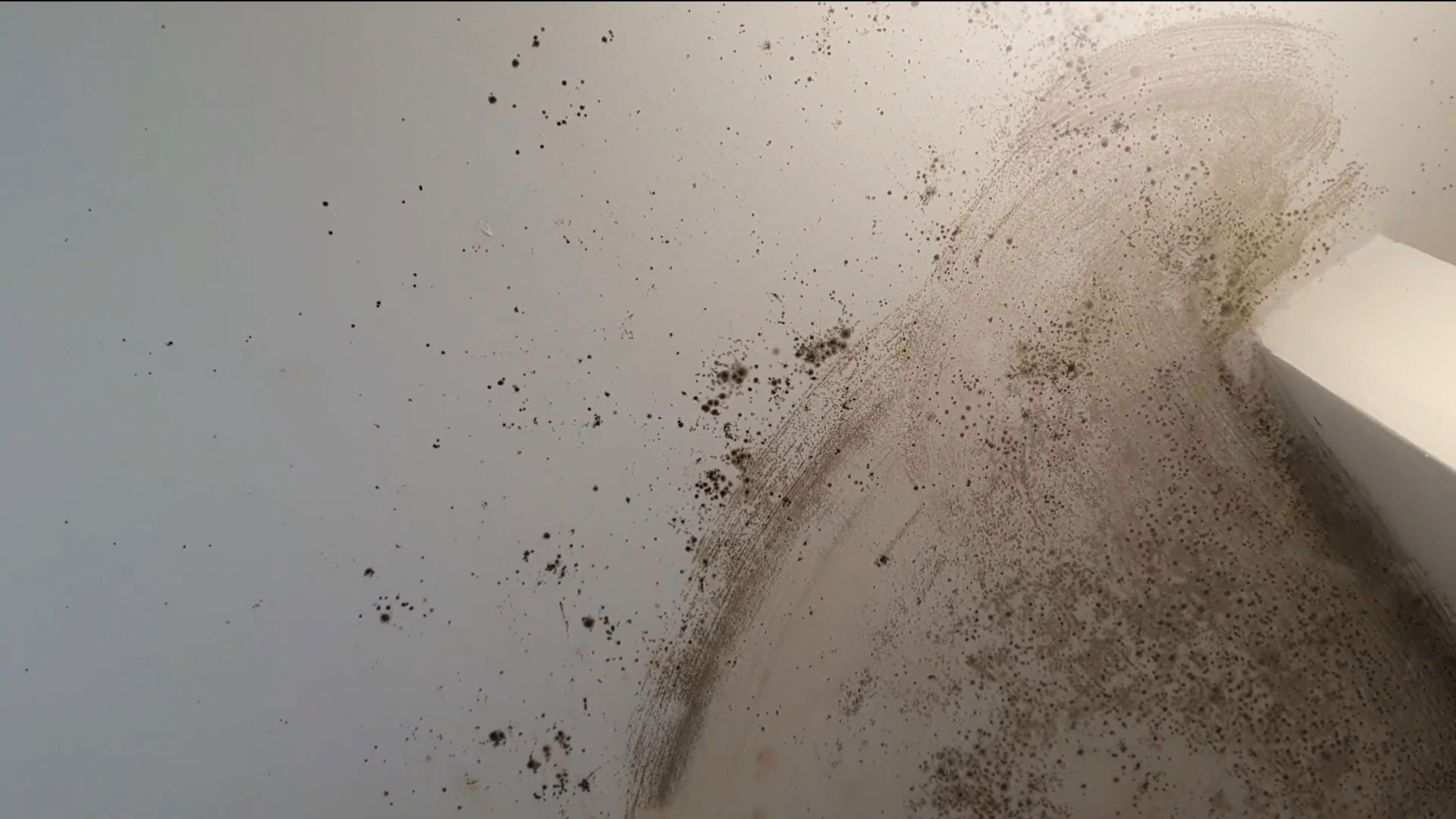 Symphonie Atonale Background