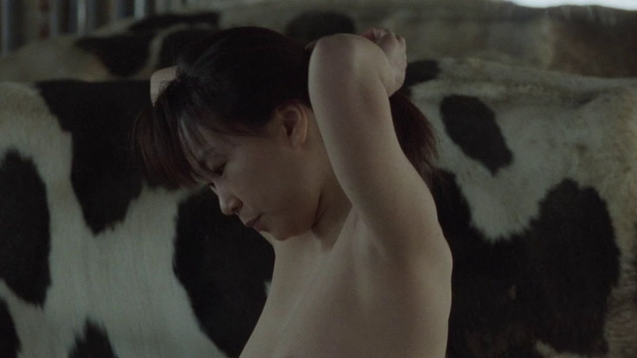 A Lonely Cow Weeps at Dawn Background