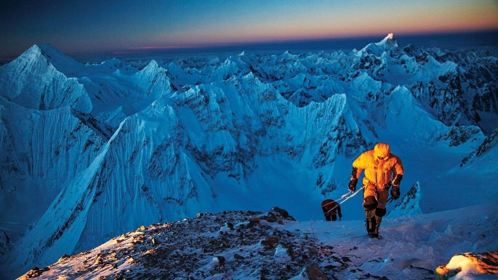 Best Of E.O.F.T. No. 8 Background