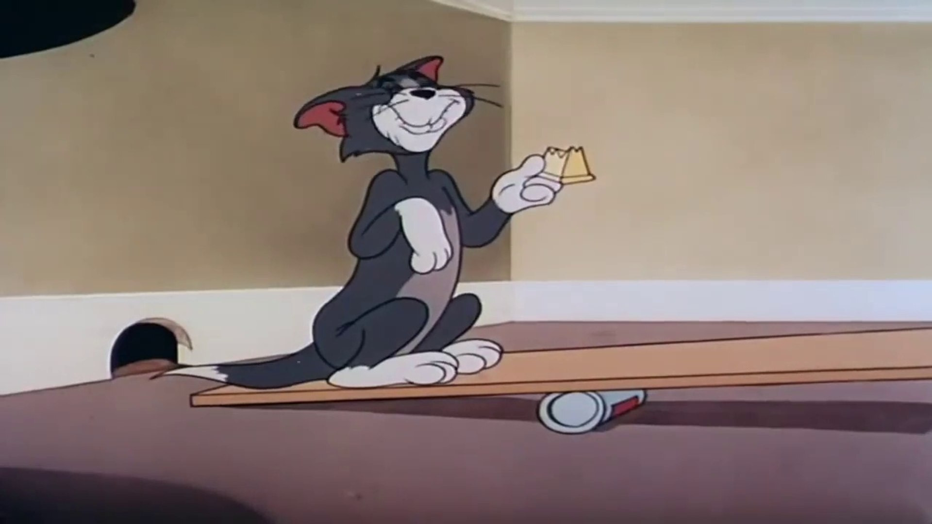 Shutter Bugged Cat Background