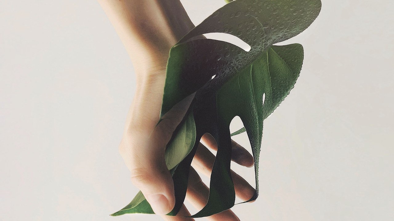 Regeneration Background