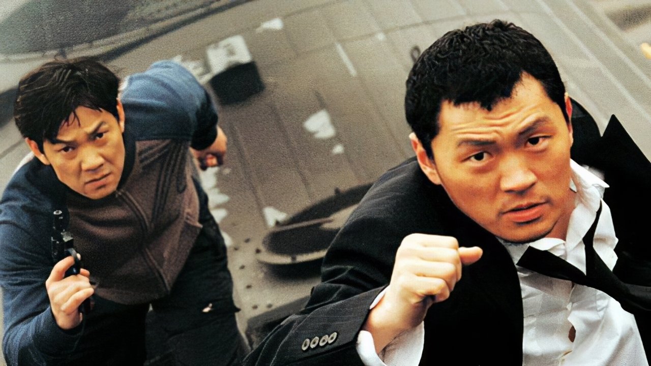 Wild Card Background