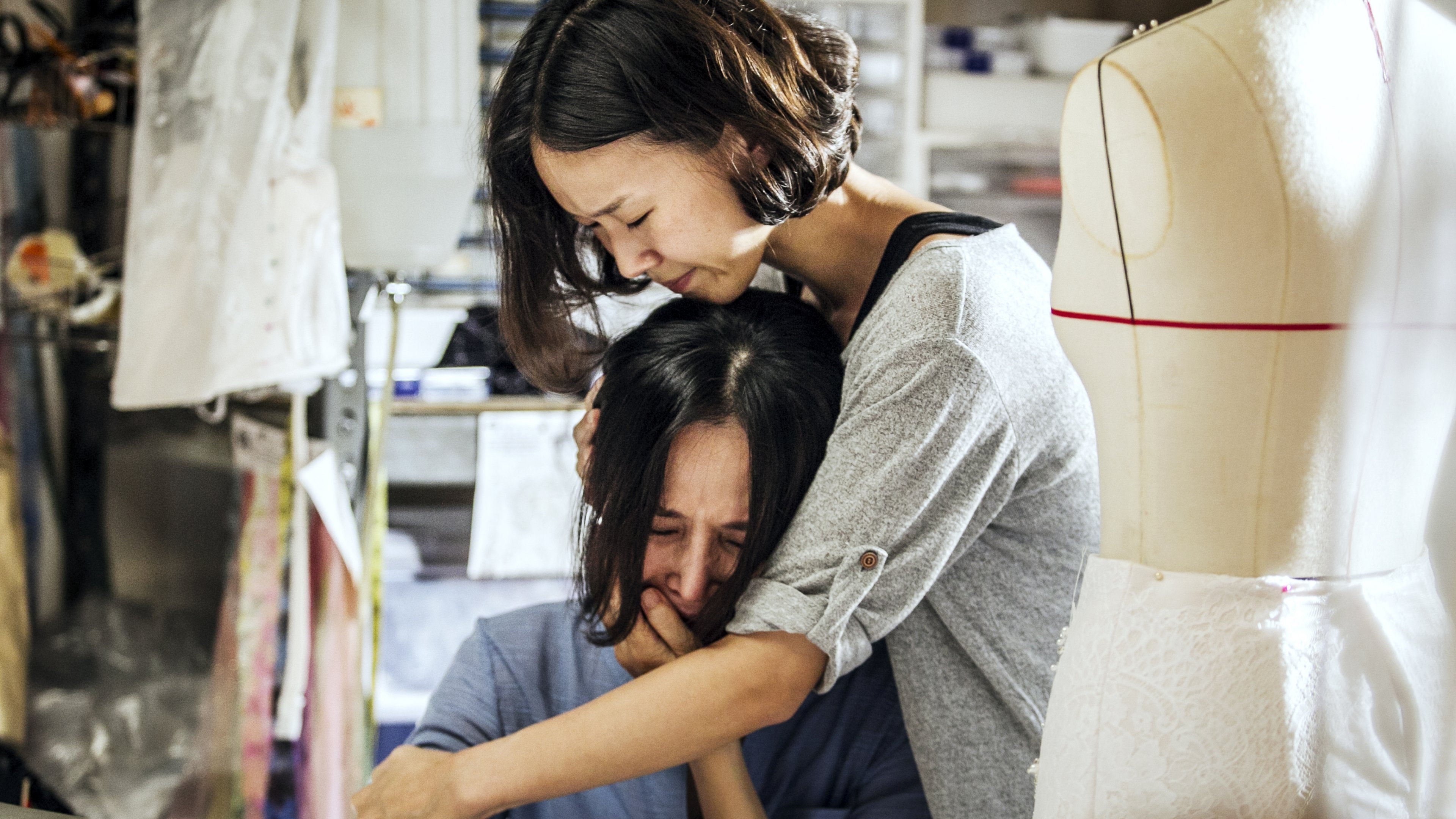 White Ant Background