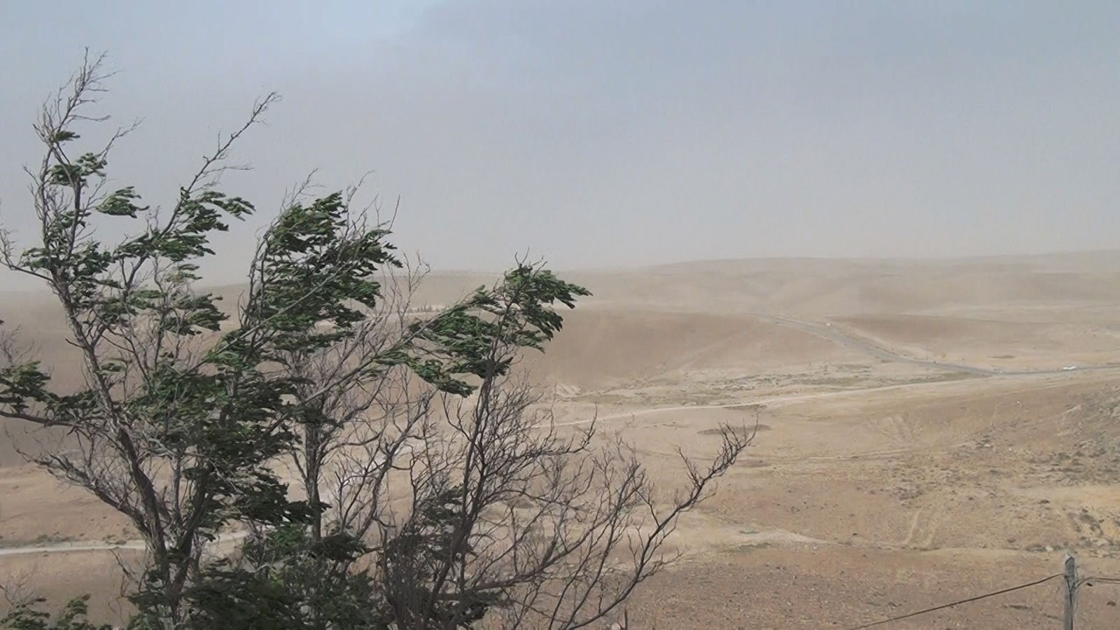 No Home Movie Background