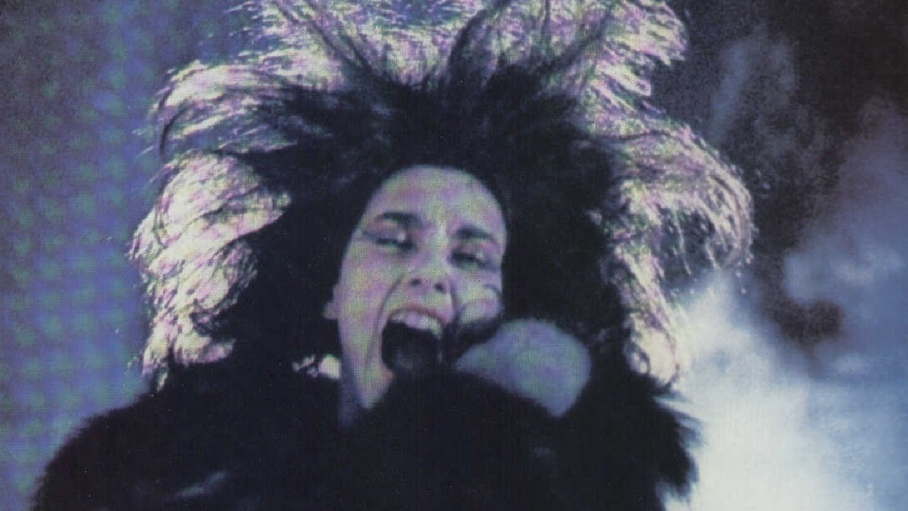 Dream of a Summer Night Background