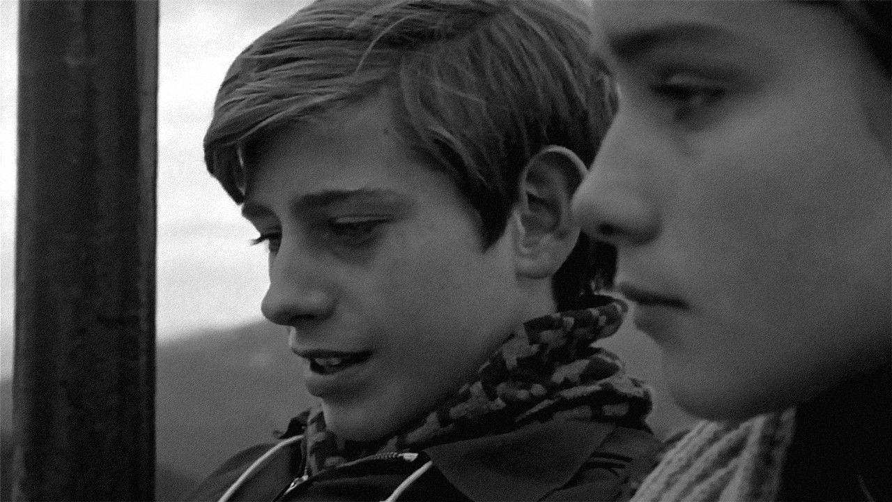 Adiós, cigüeña, adiós Background