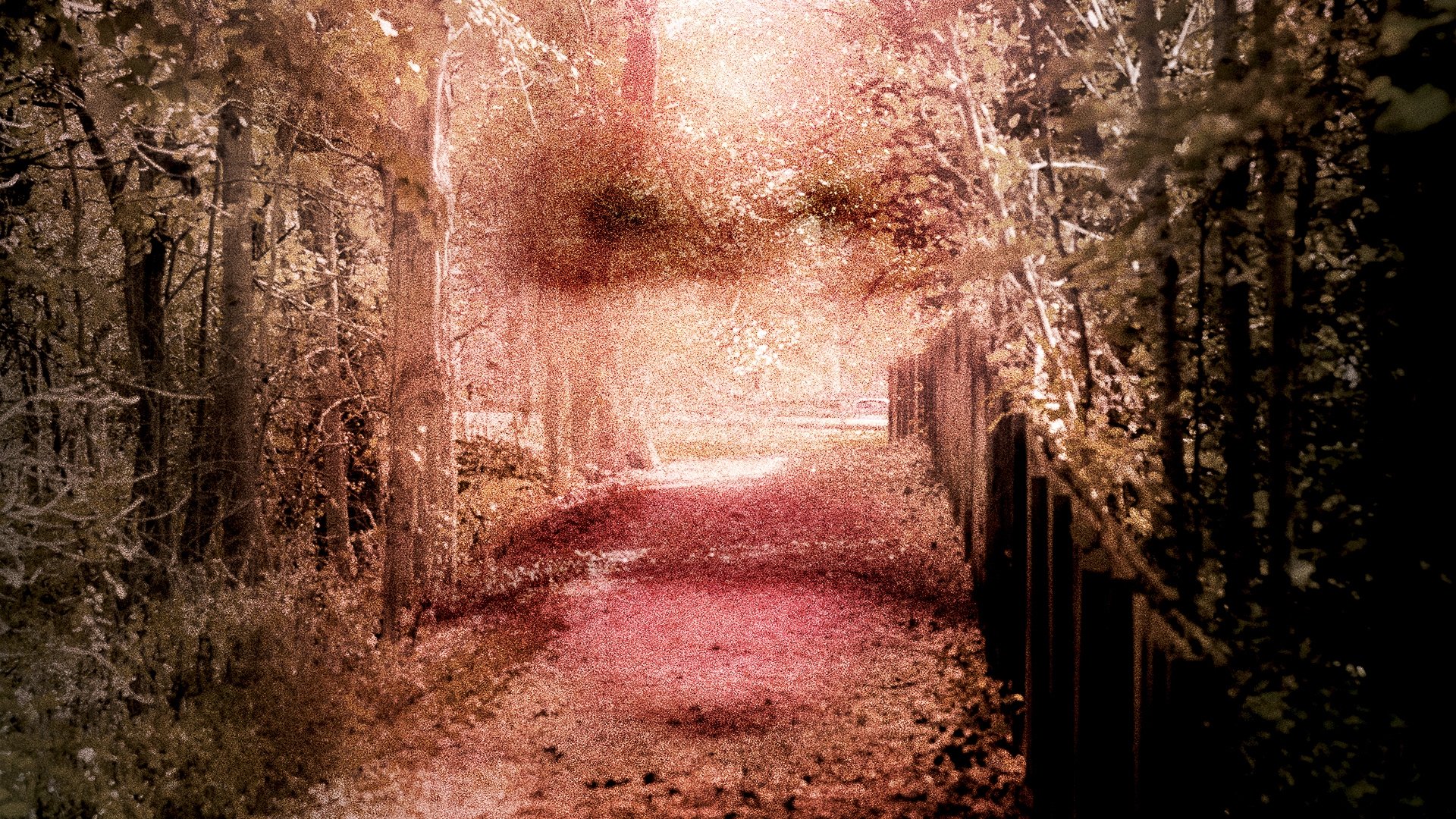 Gone: The Forgotten Women of Ohio Background