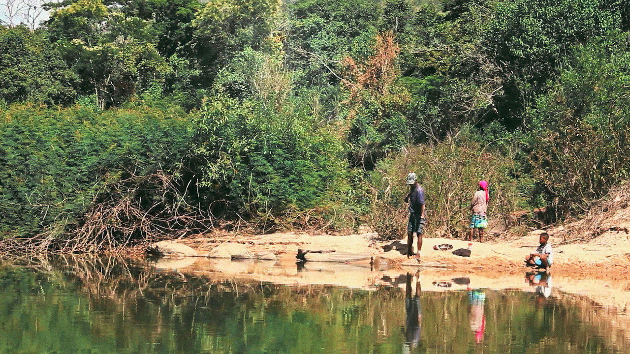 Old Lord Savanna Background