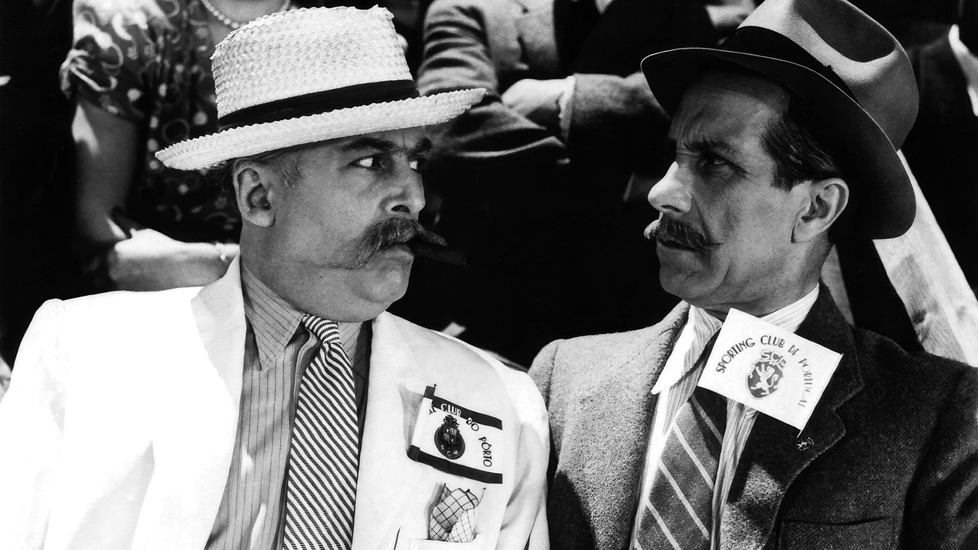 The Lion from Estrela Background