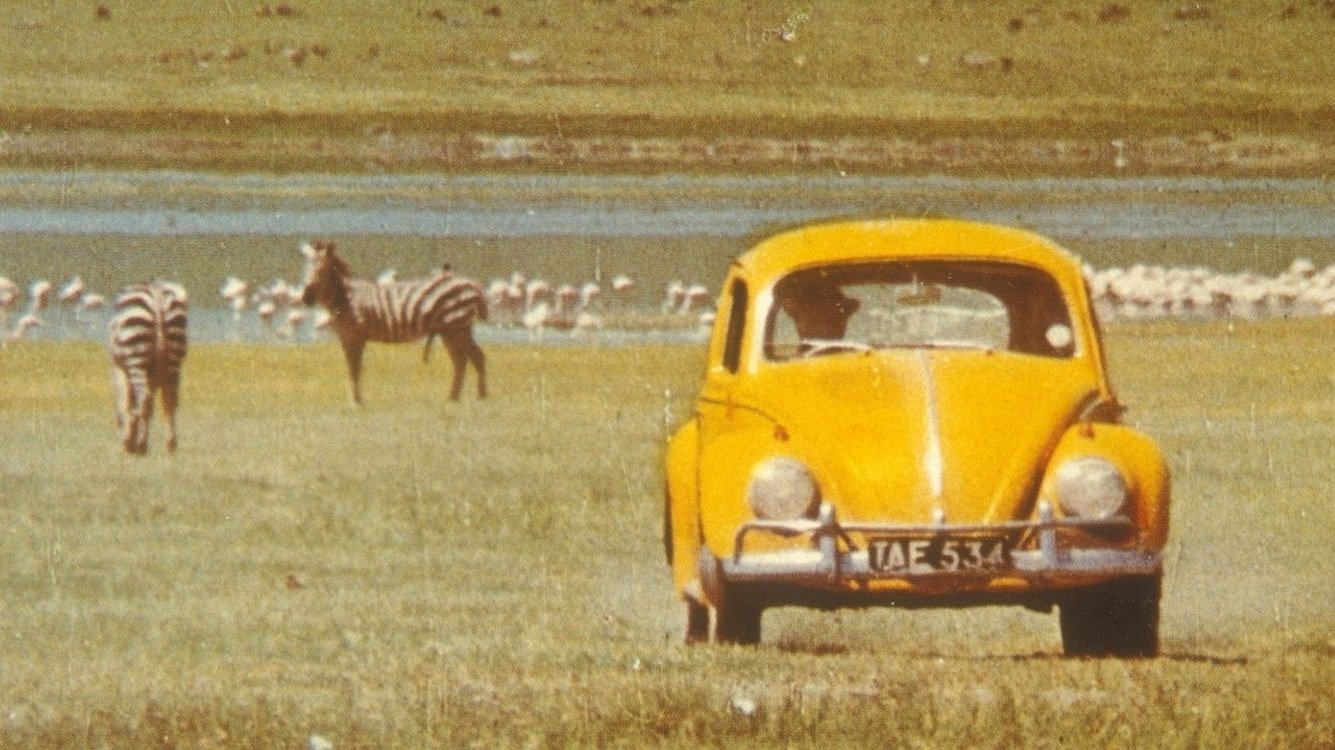 The Love Bug Rally Background