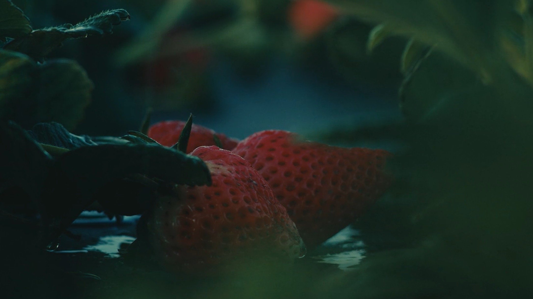 The Ballad of Tita and the Machines Background