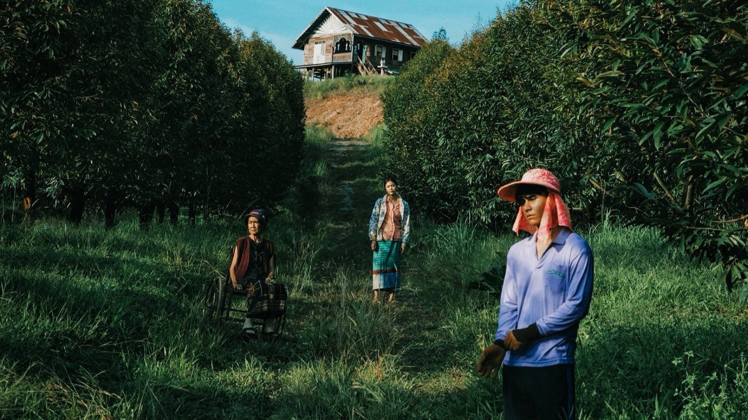 The Paradise of Thorns Background