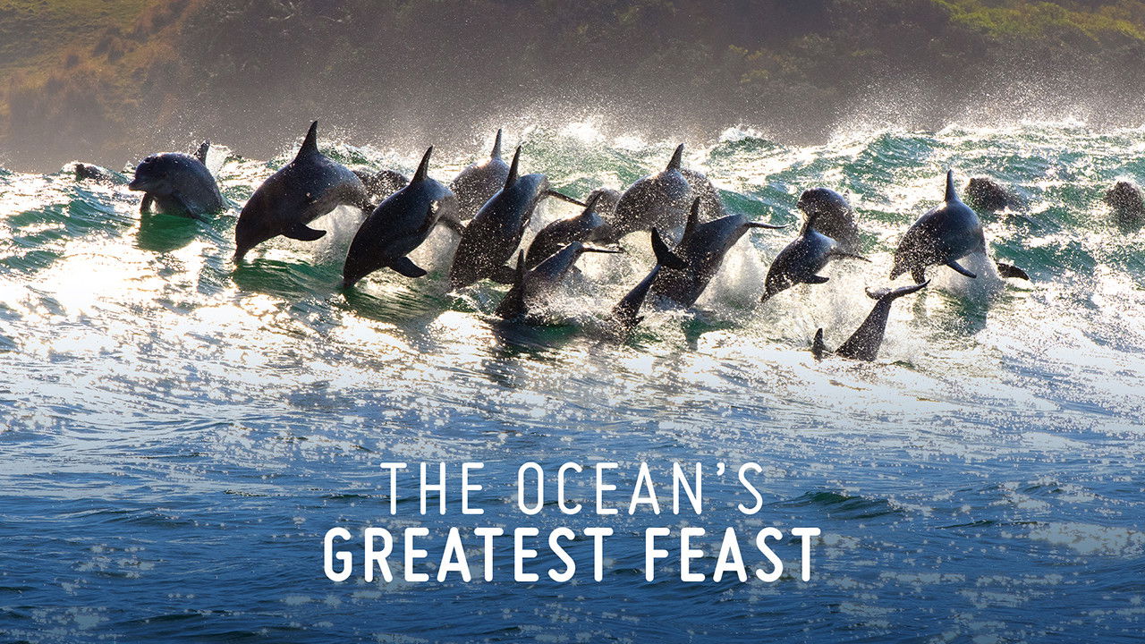 The Ocean’s Greatest Feast Background