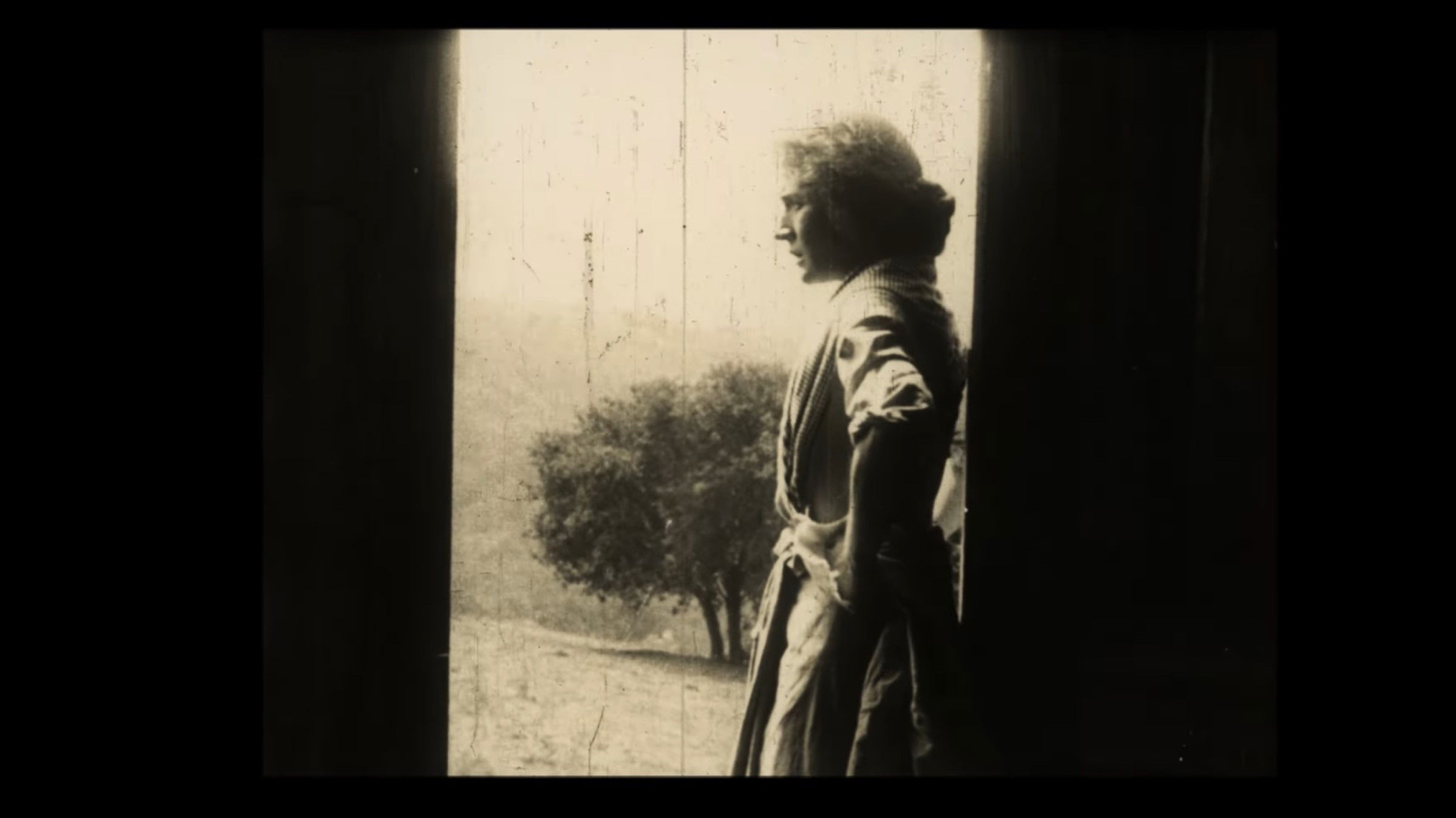 The Thief's Wife Background