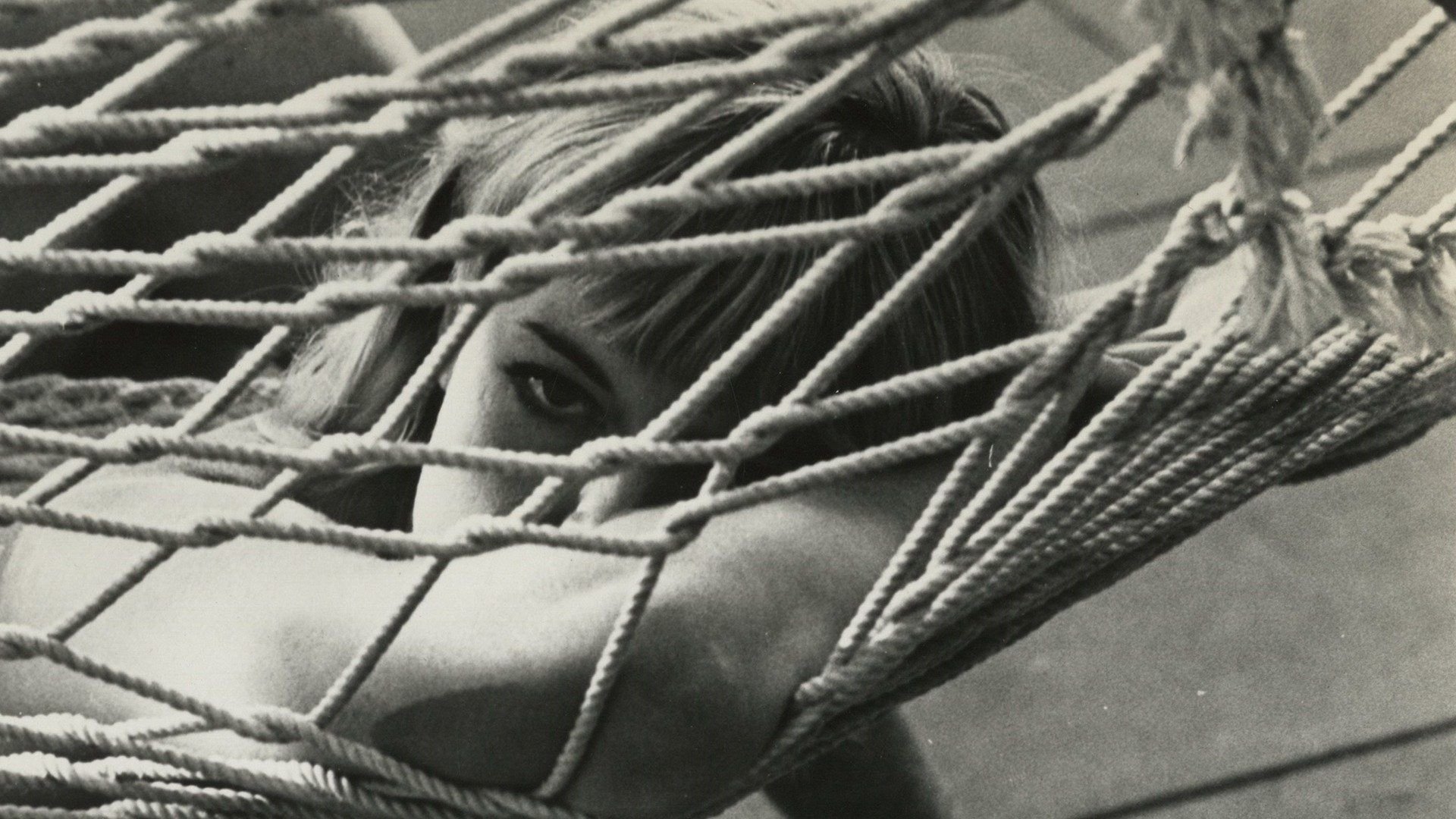 The Babysitter Background