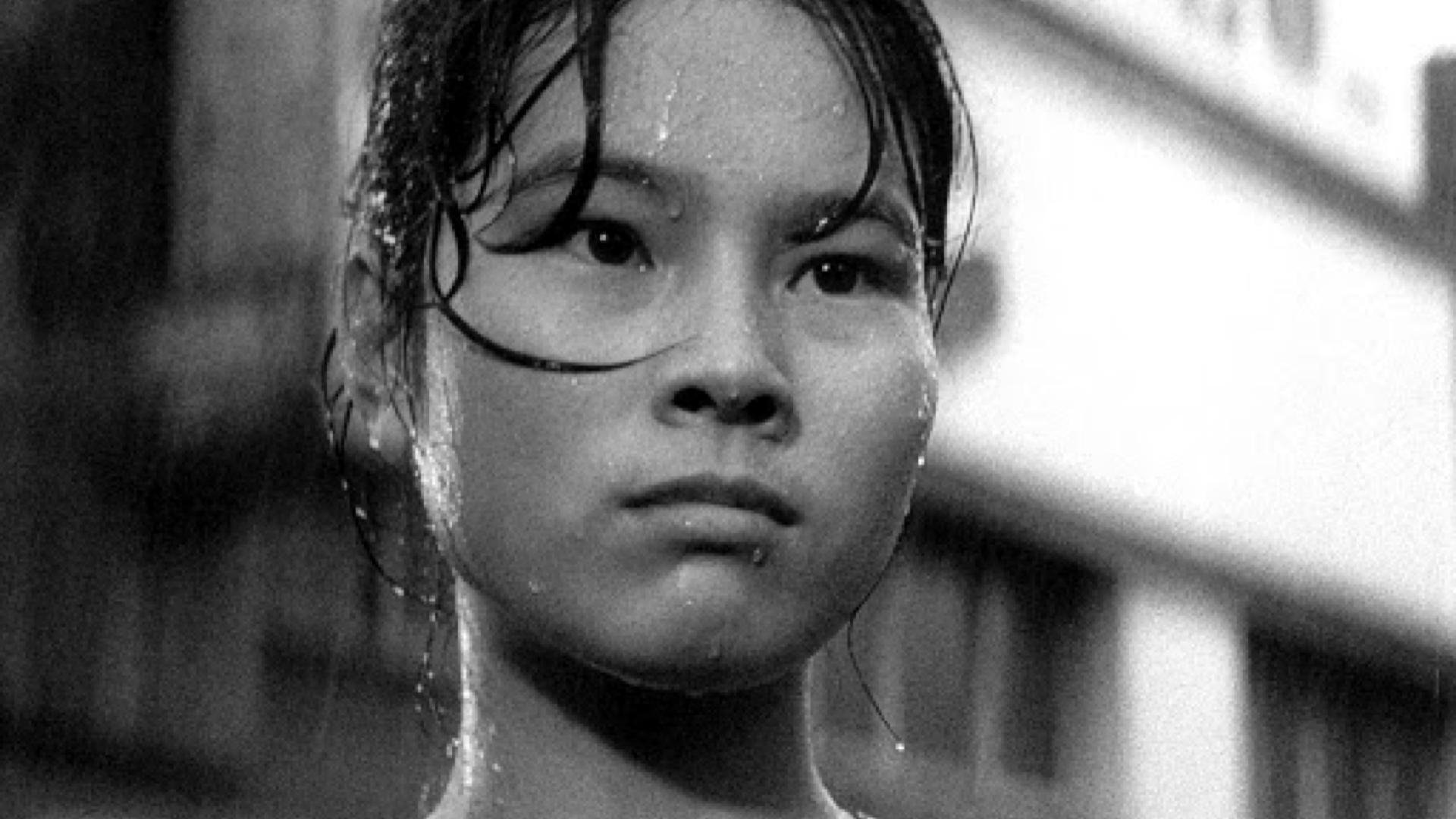 Pigs and Battleships Background