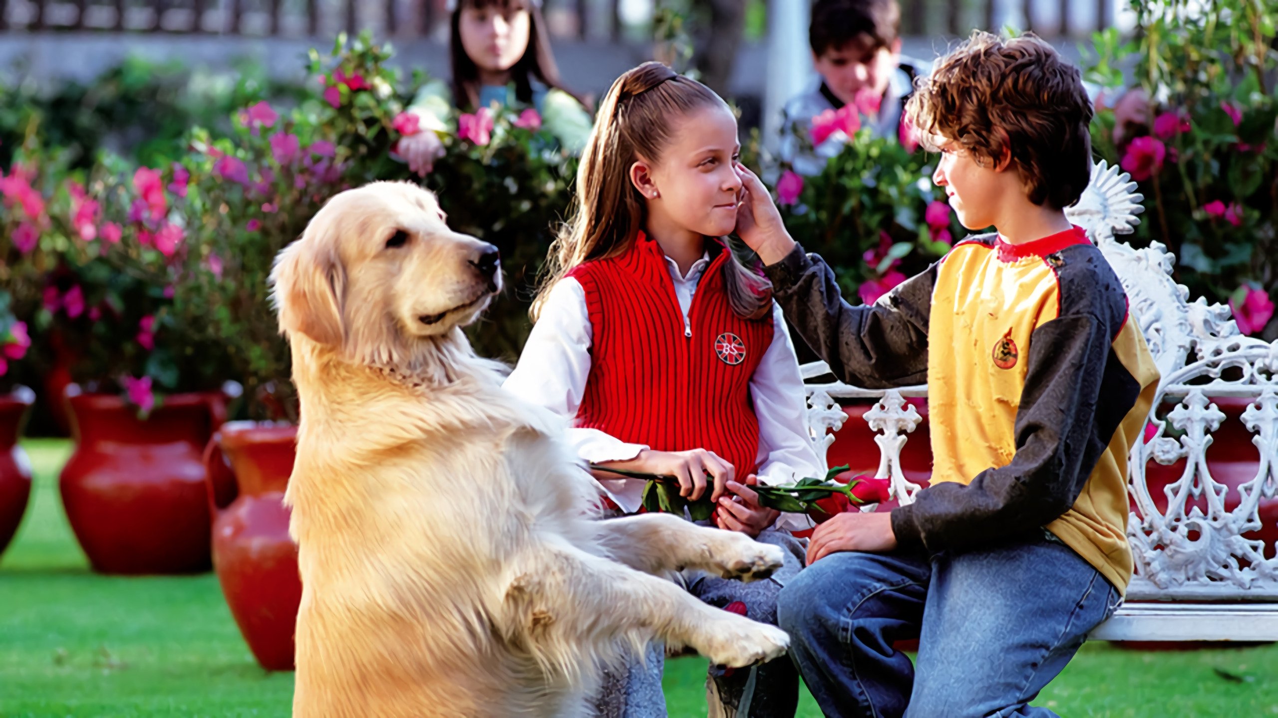 De Pocas Pocas Pulgas Background