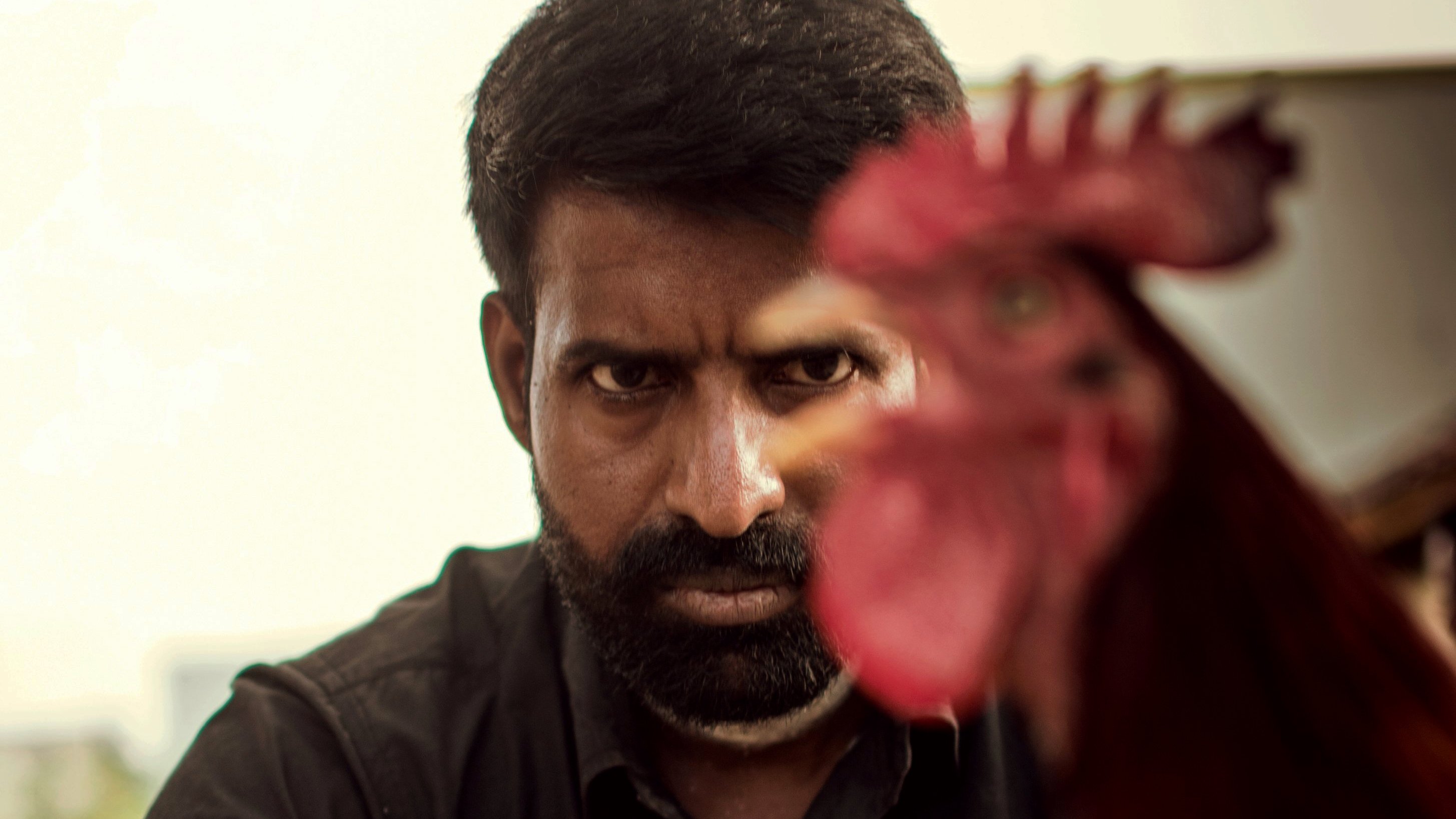 The Adamant Girl Background