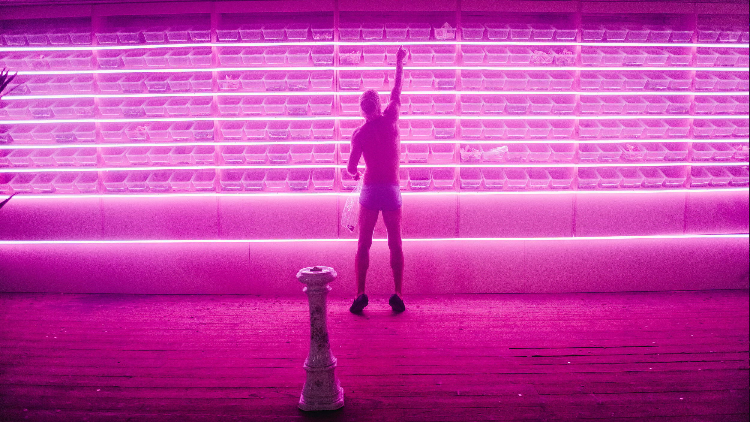 The Monkey and the Mouth Background