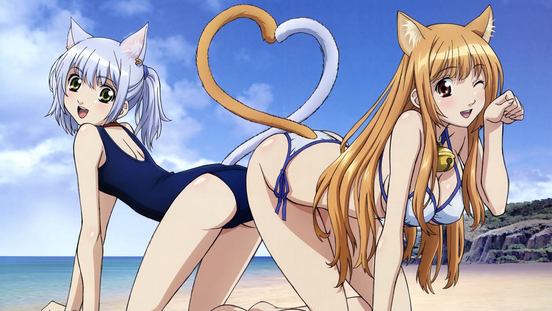 Cat Planet Cuties Background