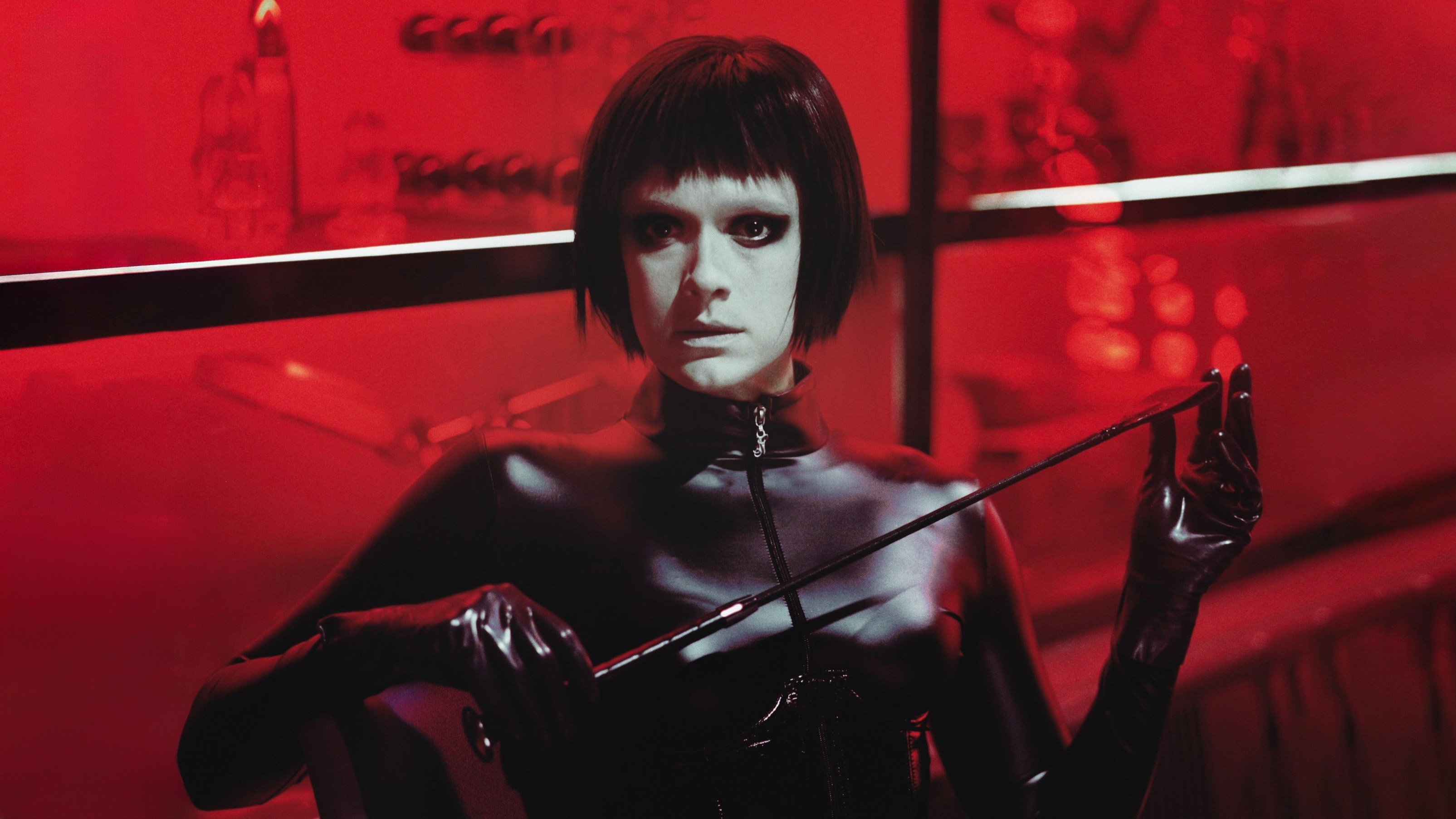 Dogs Don't Wear Pants Background