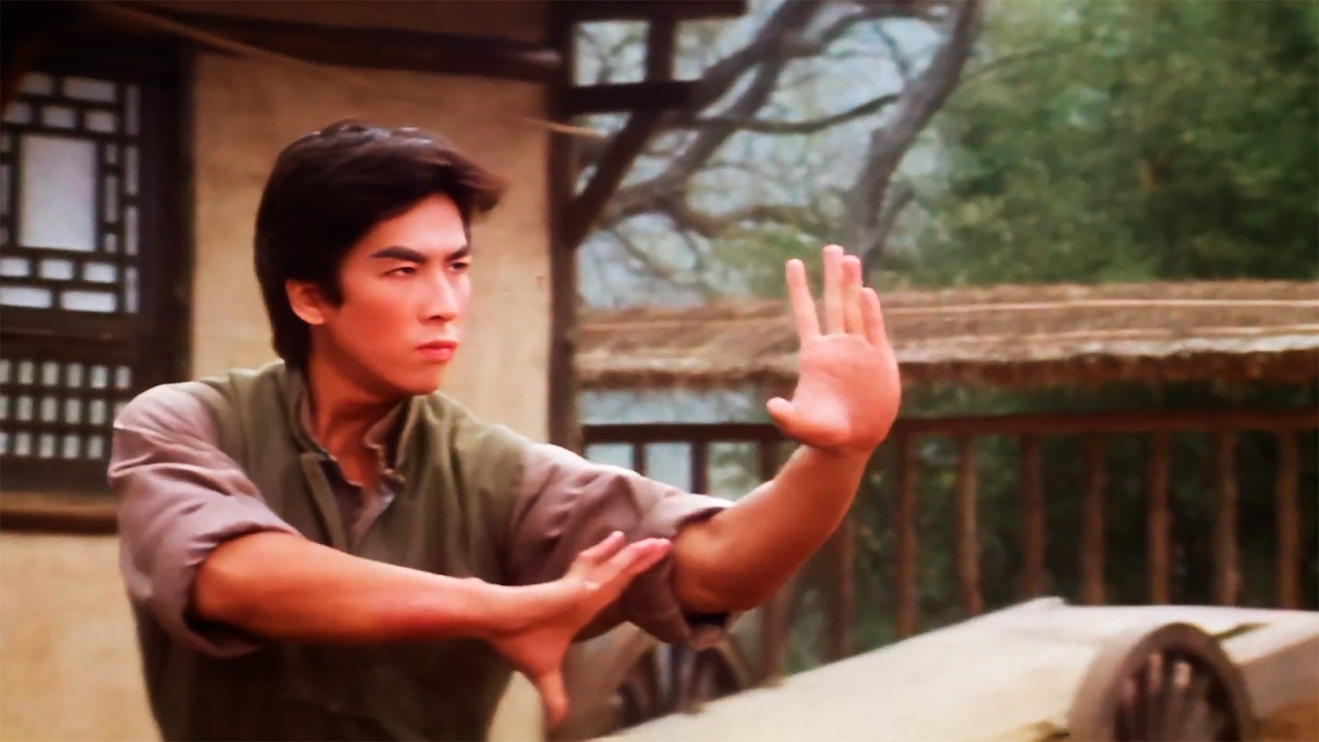 Drunken Tai Chi Background