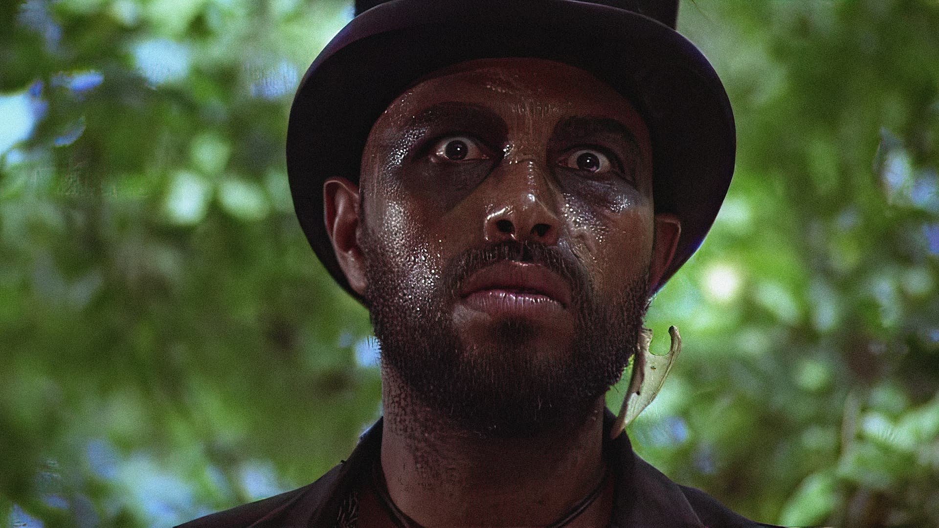 Sugar Hill Background