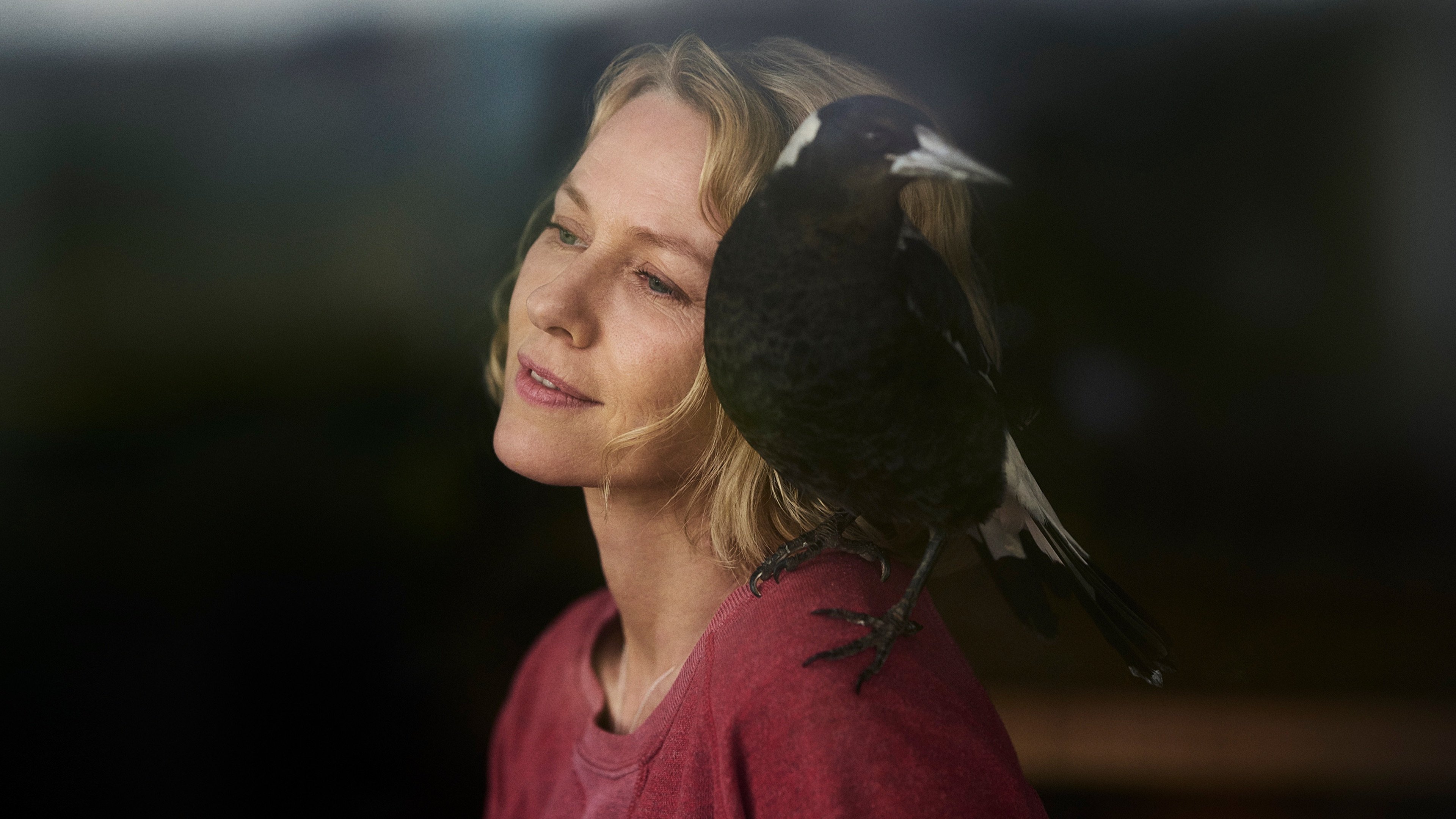 Penguin Bloom Background