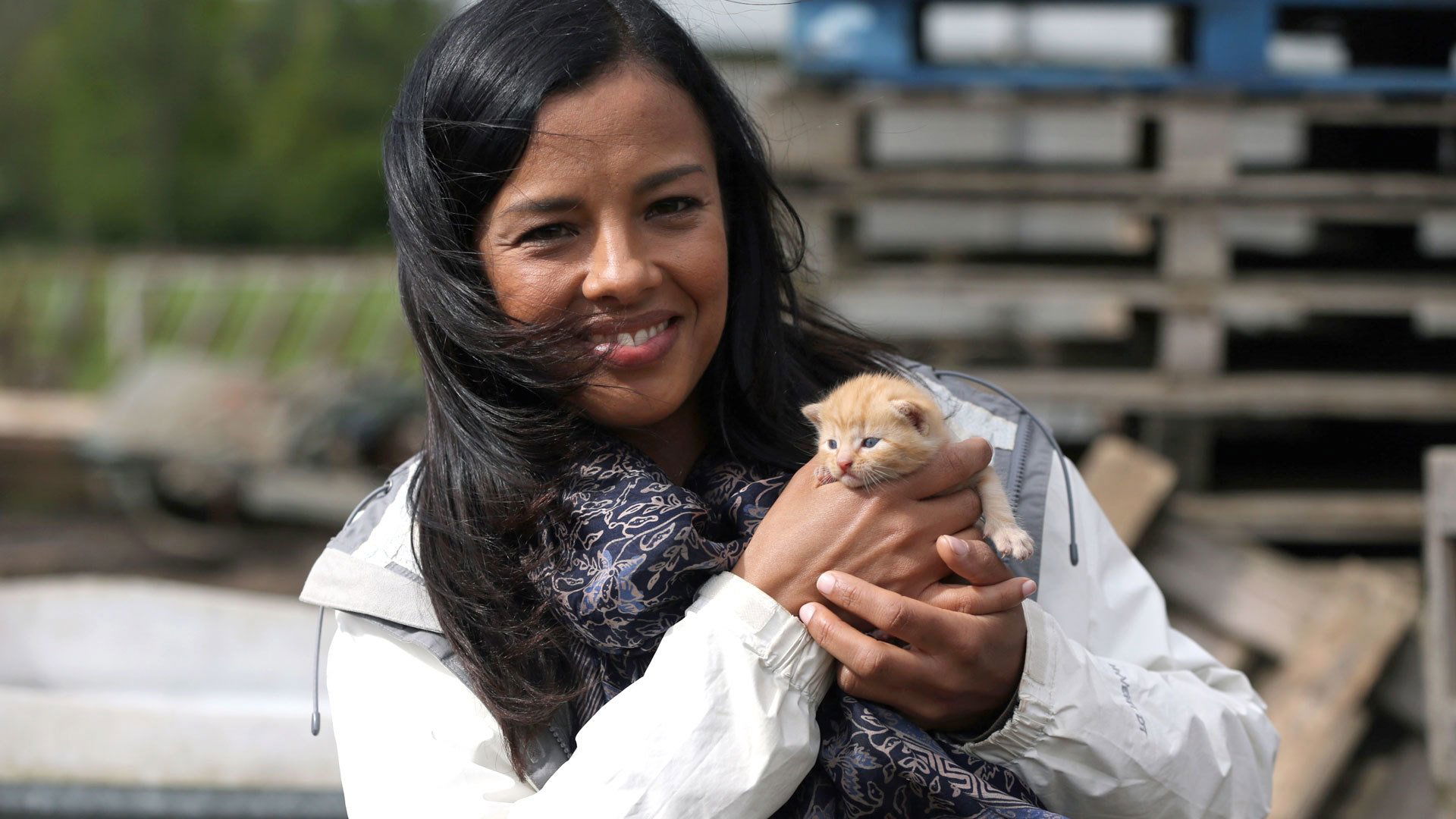 Cat Watch 2014: The New Horizon Experiment Background