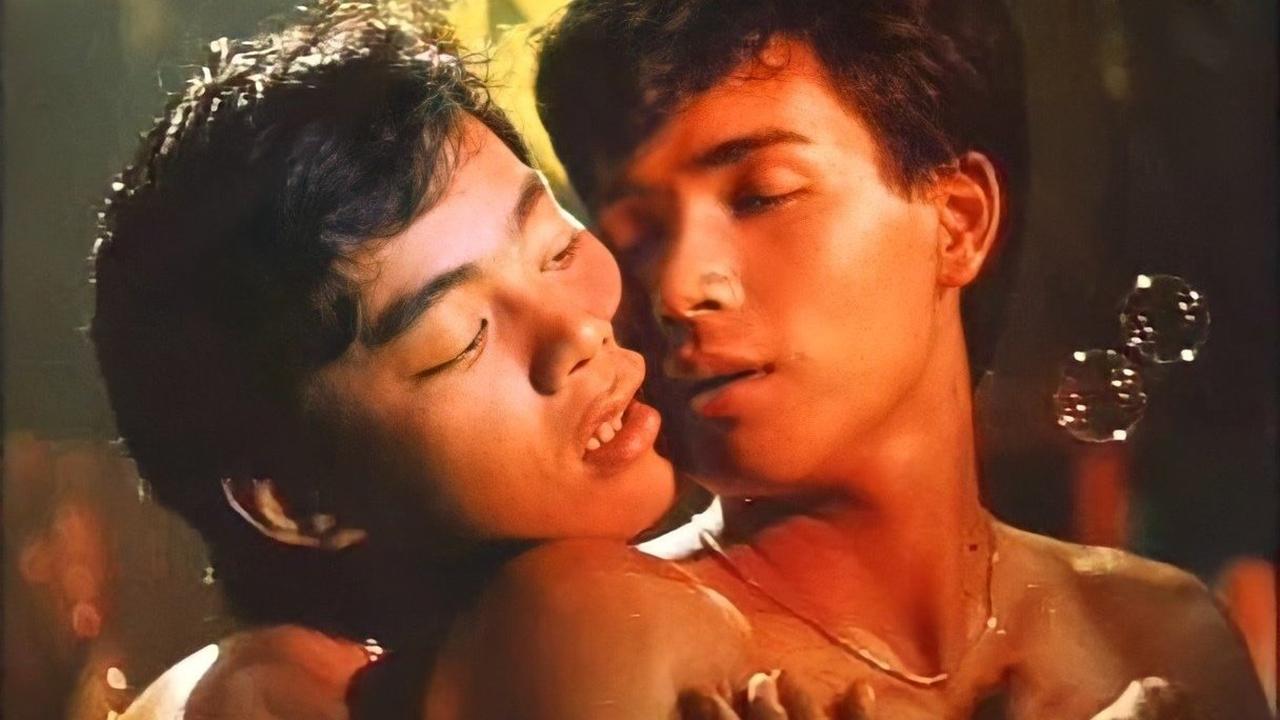 Macho Dancer Background